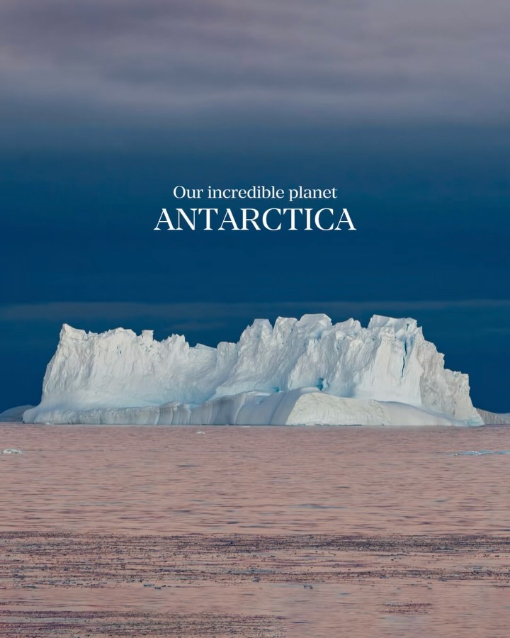A collection of images from the beginning of this year when I had the chance to visit Antarctica. It was hard to believe that this place is actually a part of the planet I live on, even though I have spent my entire life looking at images of the icy landscapes and abundant wildlife.
Nature never ceases to leave me in absolute amazement! We are so lucky to live on this planet alongside such wild landscaped and unique wildlife!
#Antarctica #oceans #nature #ausgeo