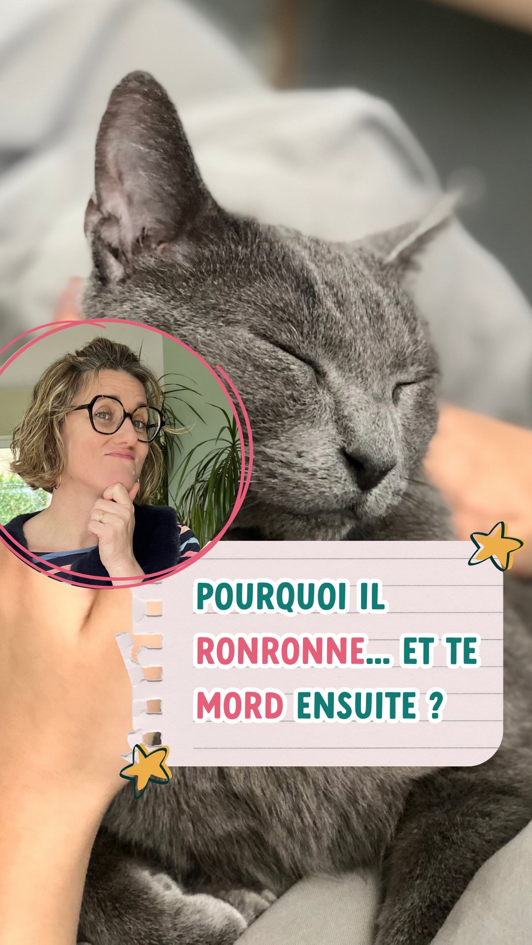 ERREUR CLASSIQUE →
Il ronronnait. Tu étais sûre qu’il était heureux. Et là… il te mord. 😅
Ce moment où tu ne comprends pas ce qui vient de se passer : c’est exactement là que se joue la relation avec ton chat !
Le ronronnement peut vouloir dire « je suis bien », mais aussi « je gère mon stress comme je peux ». Deux situations, un même son