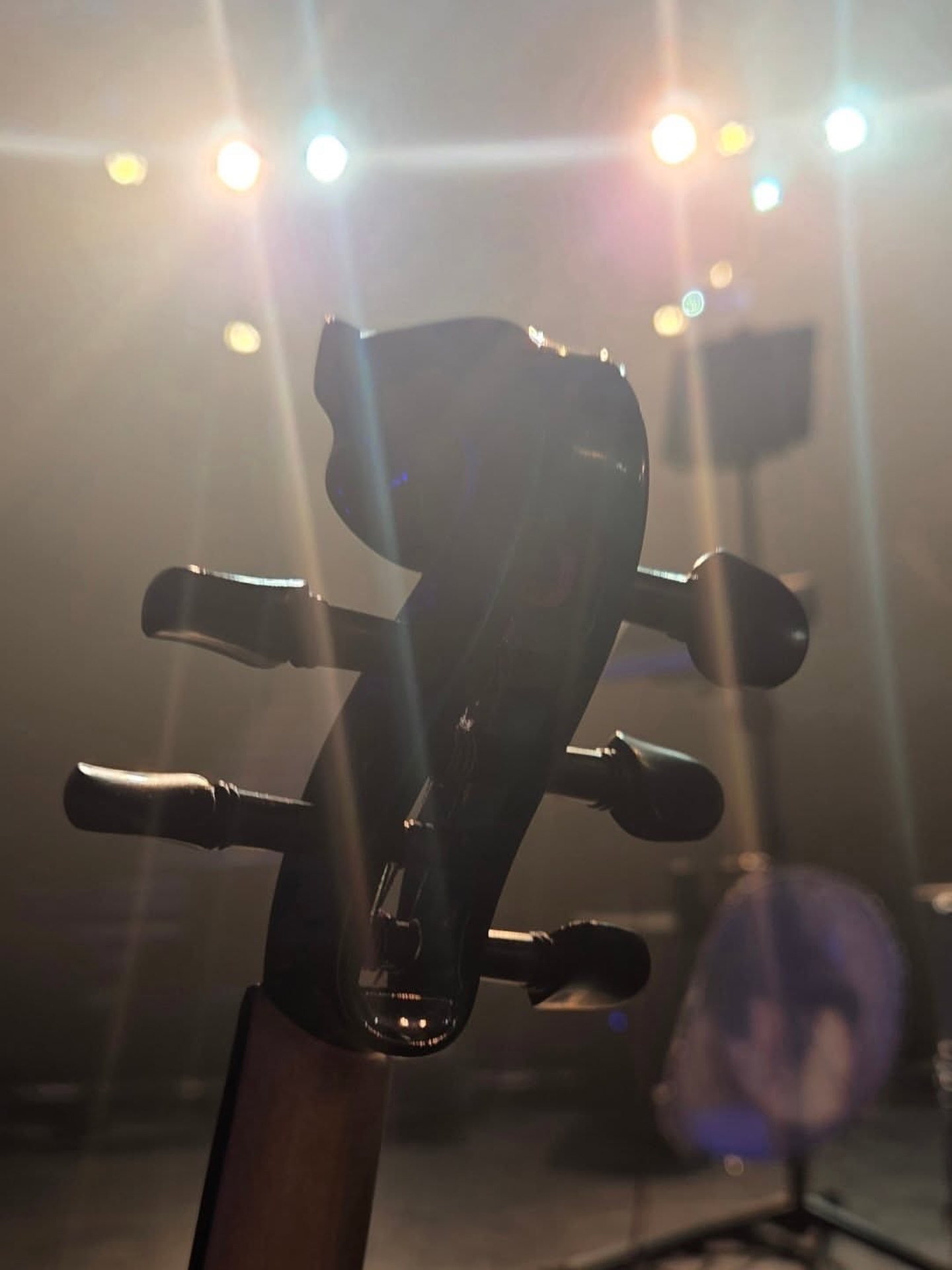 Lights.....Fiddle.....Action 🎻
Bridge Lyra 5-string electric violin stage ready @swe_violingirl
#electricviolin #electricvioinist #fivestring #eloencounter #bridgelyra