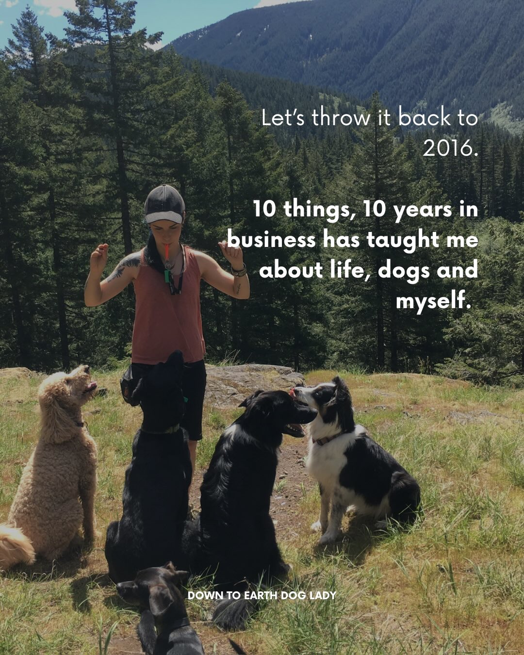 10 years of learning from dogs, clients, heartbreak, risk, community, and growth.
When I started this business, I truly had no idea where it would lead me. I just knew I wanted to build something that felt different.
Somehow that turned into a community, a career, a farm camp, and a life I’m incredibly grateful for.
To every client, dog, friend, and supporter who has been part of this journey: thank you for growing alongside me.
And to younger me charging $40 sessions while hoping someone would take a chance on her… I’m so proud of you.
