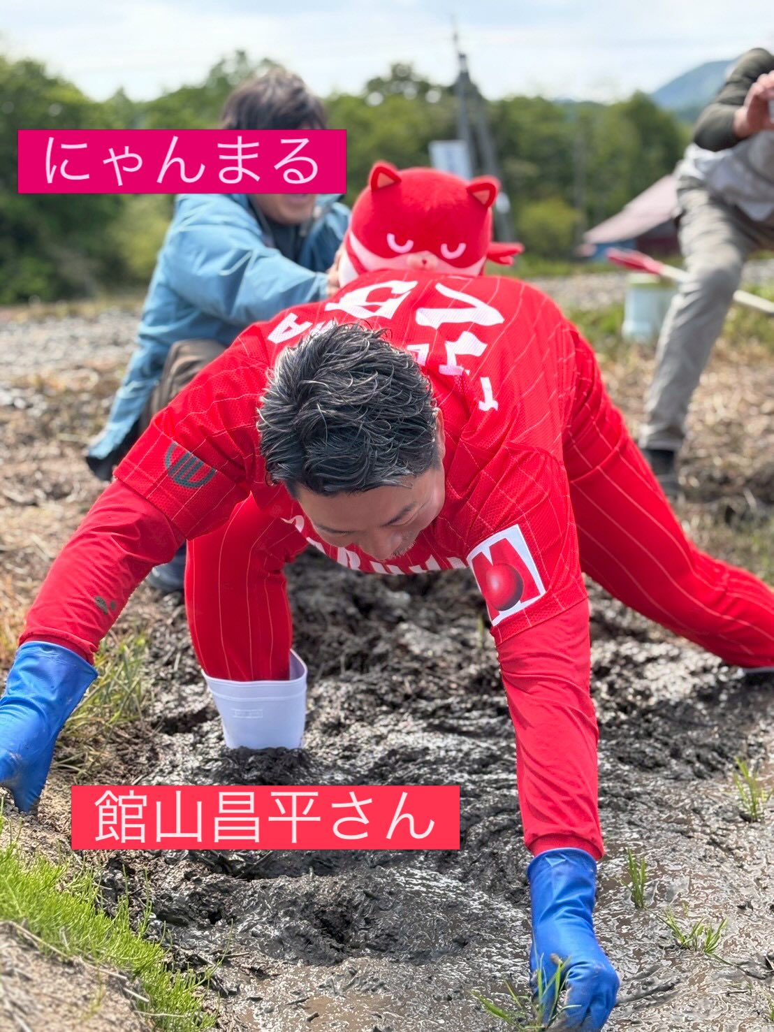 「にゃんまる!!!!押すなよ!!!絶対押すなよ!!!!!」
と言ってる館山昌平さんほど⚾️
全力で押したくなる田植えでした!笑🤣
楽しく農作業やってくれる館山さんにほっこり🌾
みんな大笑いで、疲れが一気にぶっ飛びました🙏
やっぱり“笑い”って大事だなあと実感⚾️🌾
田んぼに笑顔をありがとうございました🌾
#田植え#元プロ野球#米農家#にゃんまる#米