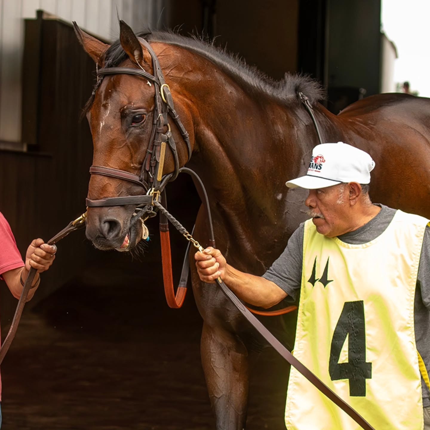 WINNER! Just A Fair Shake dueled it out in the stretch and came away victorious yesterday on a busy Memorial Day card for the team! Martin Garcia aboard. Congratulations to all connections!