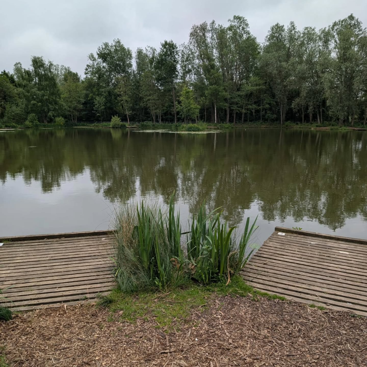 🎣 The Coarse Lake is now back open!
We look forward to welcoming you back down to the water! 🌿🐟
#coarselake #anglerlife #fishingfun🎣 #banklife #weareopen