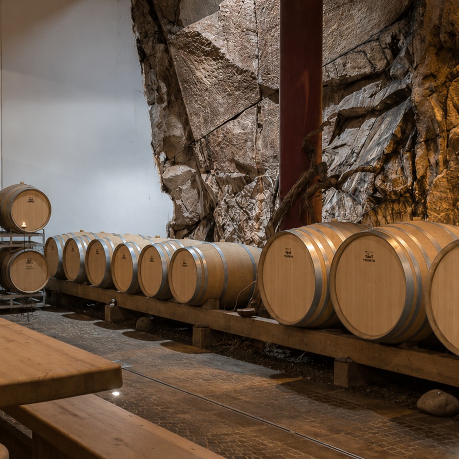 Tra roccia e silenzio, qui nascono alcuni dei nostri vini che raccontano il territorio, la passione e l’attesa.
Villa Corniole è anche accoglienza, degustazioni ed esperienze autentiche da vivere proprio all'interno della cantina.
Vieni a trovarci! Scopri il nostro mondo. Link in bio 🍇
