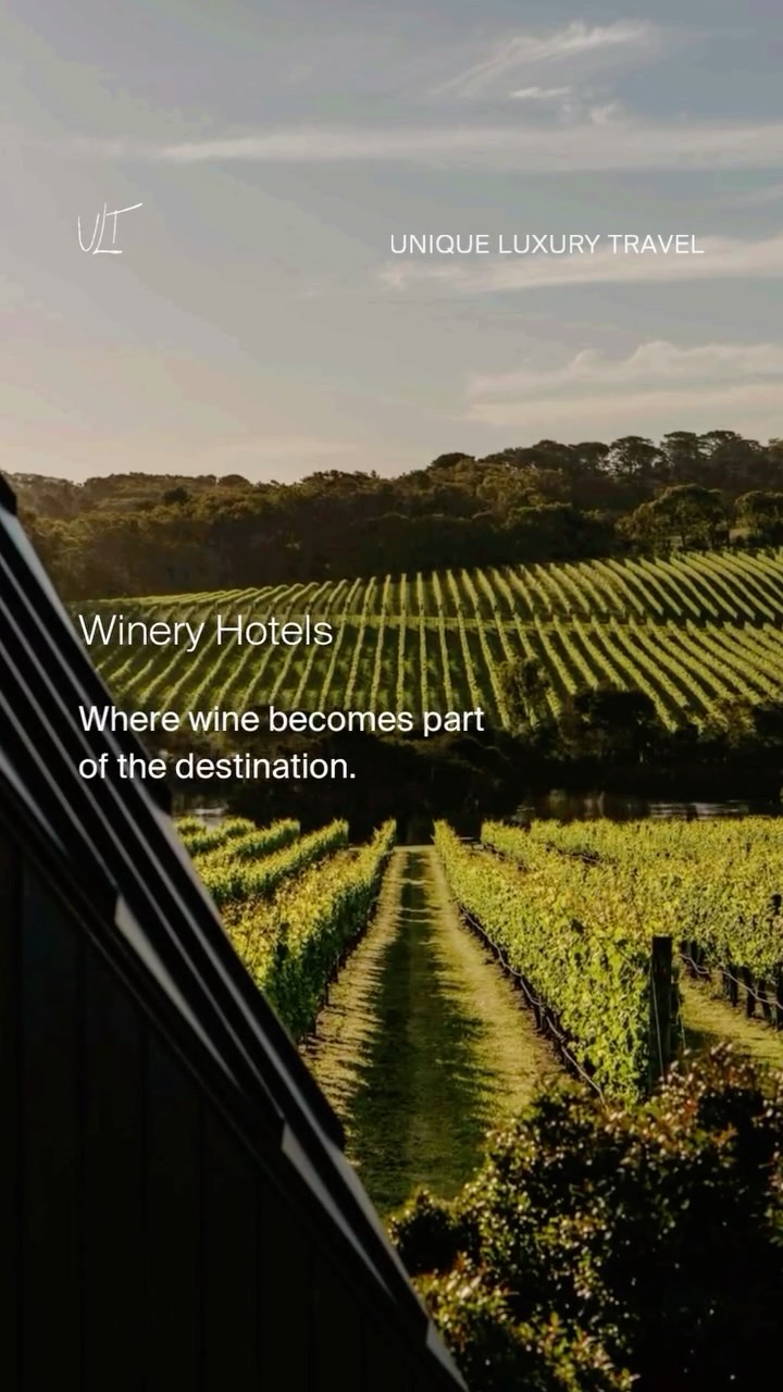 Some hotels are built around the vineyard.
From Tuscany to Napa, these winery escapes invite you to slow down — with private tastings, long lunches among the vines and wines found nowhere else in the world.
For thoughtfully curated wine journeys, contact UNIQUELUXURY.TRAVEL.
Video: @sixsensesdourovalley @vikchile @jackalopehotels @borgosanfelicemn @casadeuco