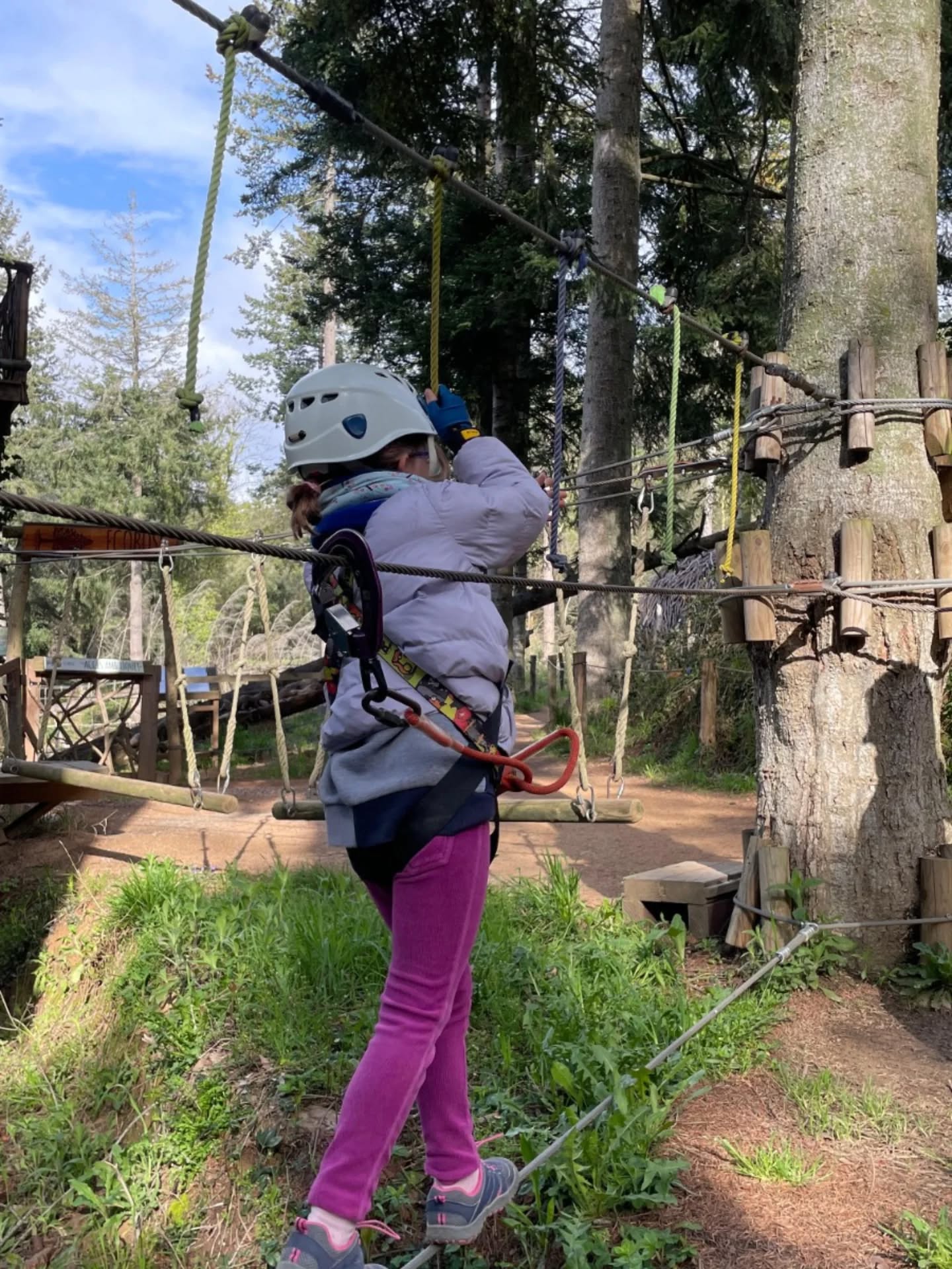 Al Circuit Formiga, els més petits també treuen el seu costat més aventurer 🌲
#CircuitFormiga #PetitsAventurers #AventuraEnFamilia #Natura #NensAventurers Bosc ParcDAventura Diversio TurismeFamiliar OutdoorKids