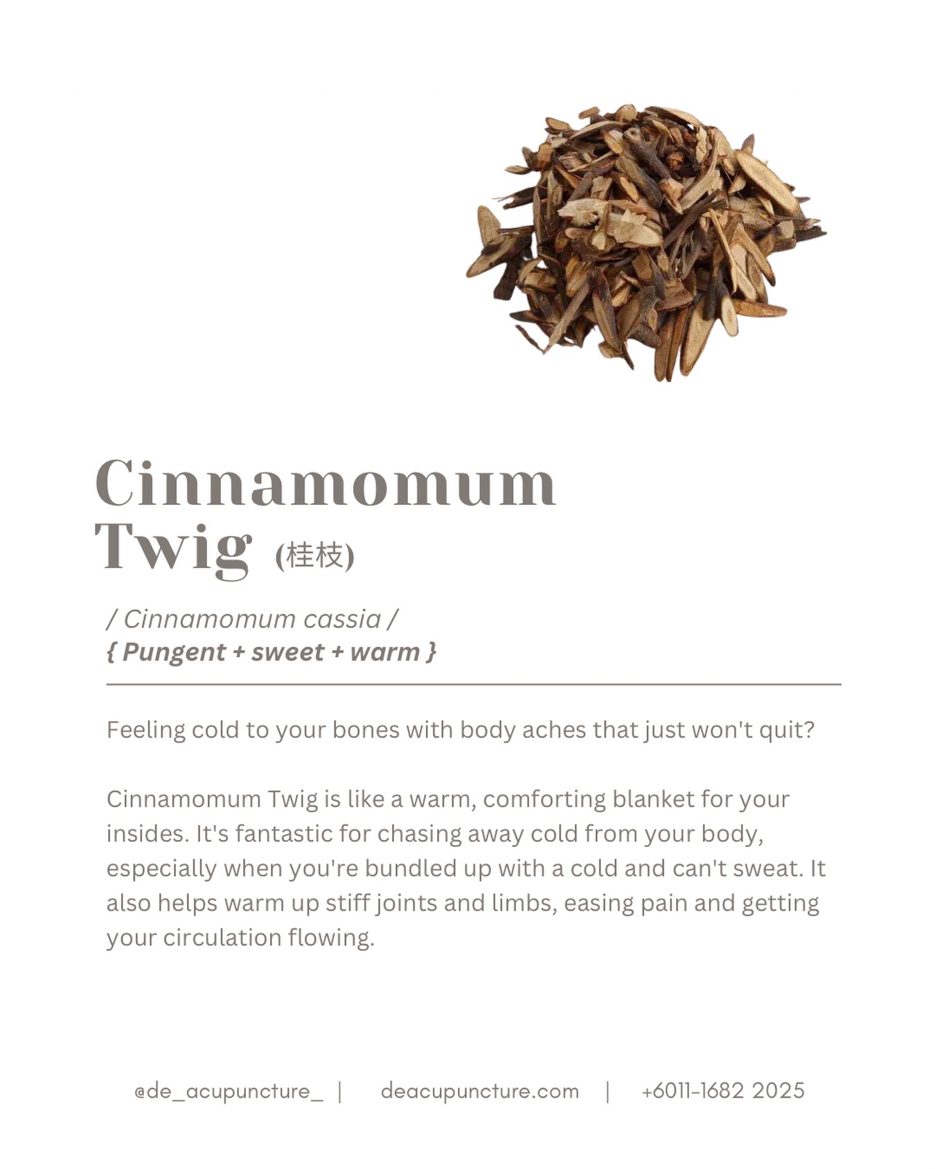 Cinnamon Twig: Your Anti-Cold Superpower! 🦸♀️
Feeling chilly, have cold hands/feet, or catching a simple cold? In TCM, your solution is often Gui Zhi (Cinnamon Twig 桂枝)!
This is not just a spice; it’s a powerful warming herb that:
🤺Fights the Cold:
Helps your body sweat out a Wind-Cold invasion (early cold symptoms). 🤧
🤺Stops Pain:
Drives warmth deep into the channels to relieve pain that hates the cold (like cold-induced joint stiffness or cramps). 🔥
🤺Boosts Circulation:
It’s fantastic for cold limbs and boosting overall Yang Qi (warming energy).
Gui Zhi is the key herb in the famous Gui Zhi Tang formula, which balances your immune defense (Ying and Wei).
⚠️ Warning: Gui Zhi is very warm! It’s not for everyone, especially if you have internal heat or bleeding issues.
Don’t guess your herbal needs! Consult the experts at 医心医意中医坊 De Acupuncture x Herbs Centre first. We’ll ensure your formula is perfectly tailored.
Ready to warm up and feel protected? Book your consultation today! 💖
#GuiZhi #CinnamonTwig #TCMHerbs #ColdRemedy #TCMWellnessSubangJaya