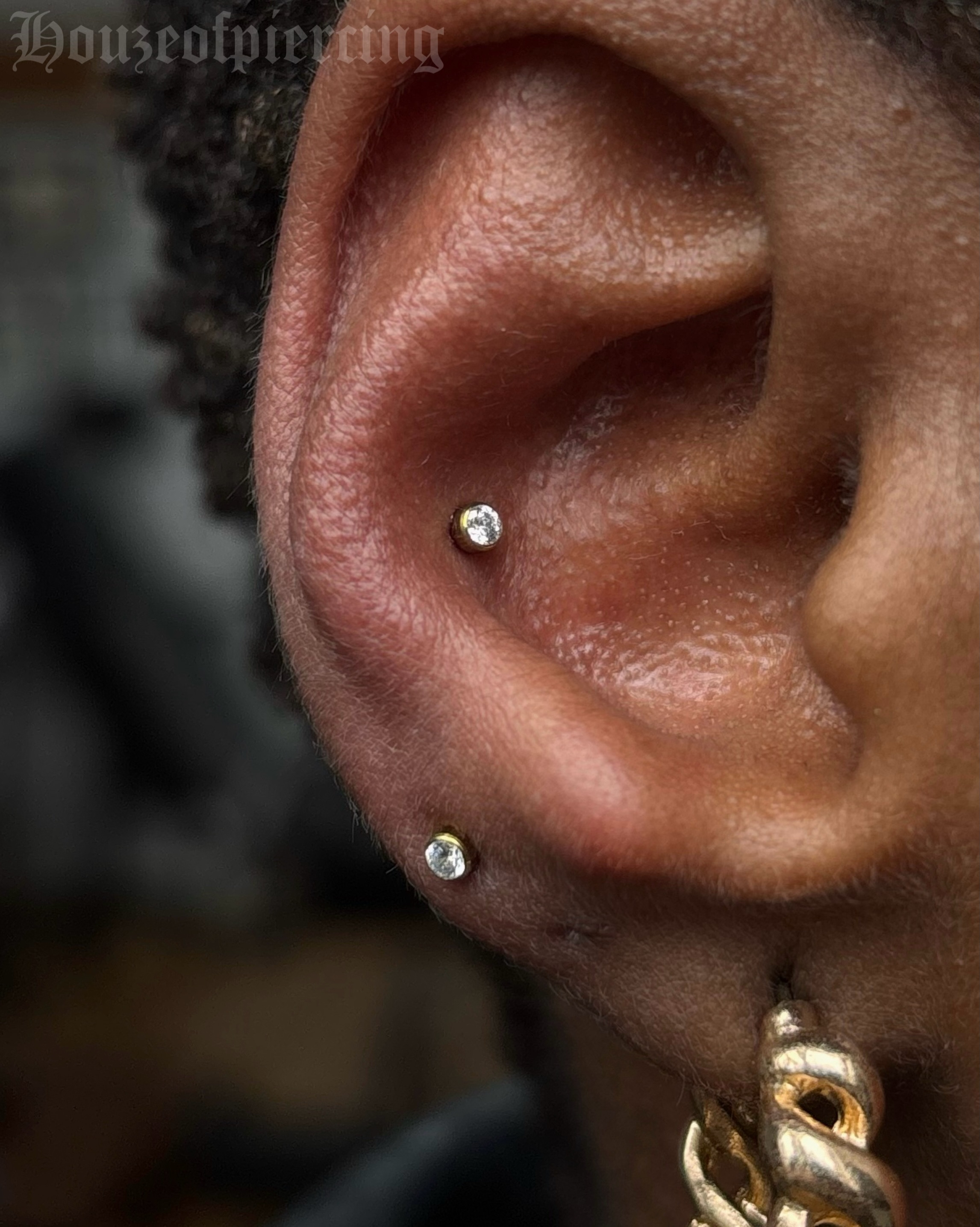 A conch and high lobe pairing fitted with 2.5mm bezel set CZ anodised to a golden tone from @inariorganics ✨
prepped with @purklenz
pierced with @probodyart
jewellery from @inariorganics @inariorganics_uk
cooled with @neilmedpiercingaftercare
supplies from @probodyart @aces_supply and @holymountainsupplies
🖤 @venusinfurs.ie 14 Exchequer St, Dublin 2
⛓️ Tuesday to Saturday, booking link in bio
#piercing #piercer #conchpiercing #earpiercing #safepiercing