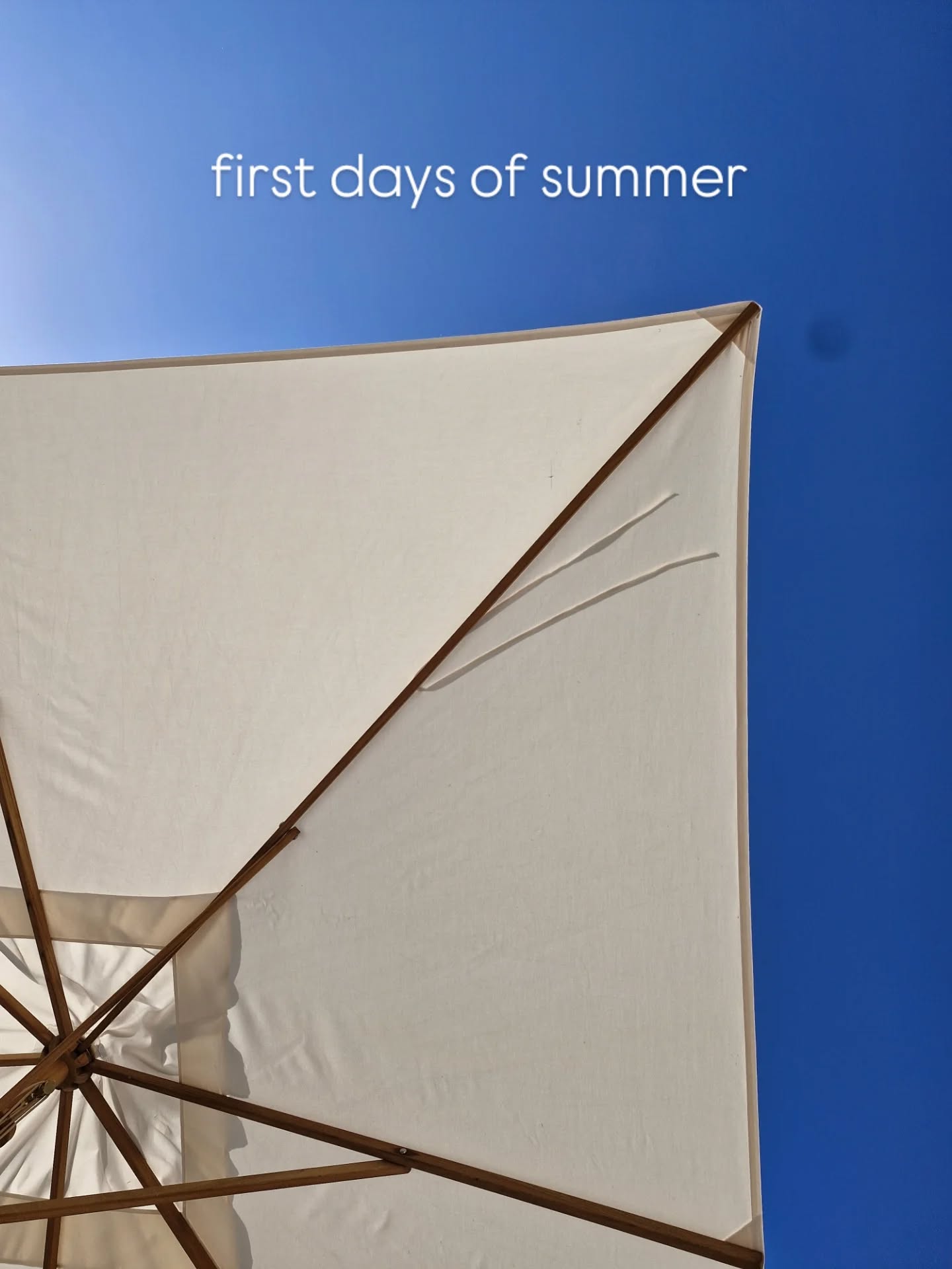 Der Sommer ist da! Nachdem der Winter sehr kalt war, hat keine meiner Schmucklilien überlebt, zwei habe ich nun nachgekauft. Passen doch perfekt in die hohen Töpfe oder?!