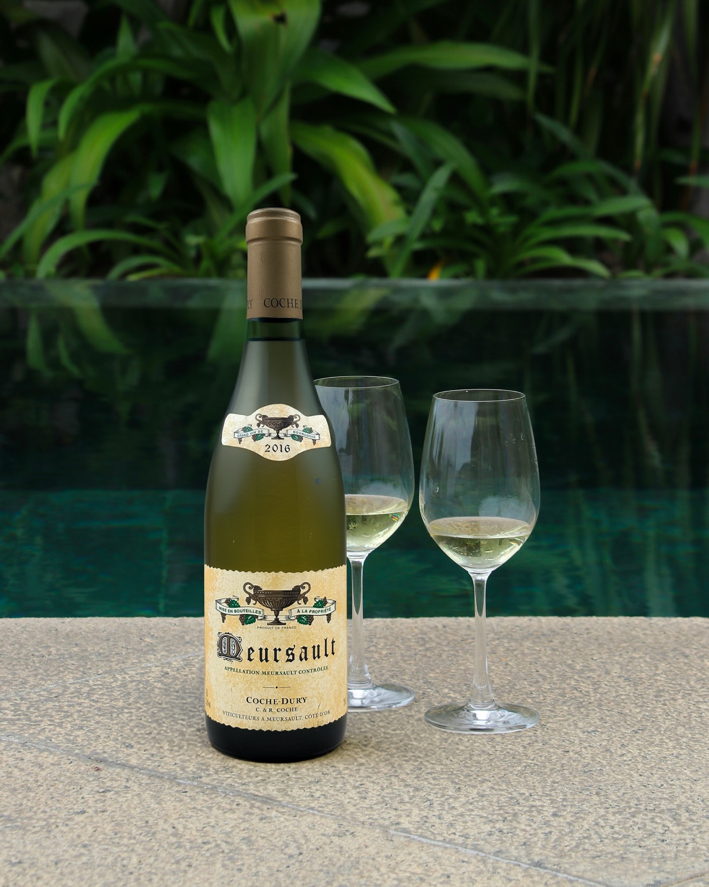 A Chardonnay built on tension and light. ✨
Domaine Coche-Dury Meursault 2016 opening with citrus zest, orchard fruit, subtle reduction, and an endlessly clean mineral finish.
Precise, silky, and endlessly refreshing despite its depth and power. The kind of Chardonnay that cools down the entire evening.
Refreshing in the most elegant way possible. 🍷
#summer #parís #frenchwine #finewine #grandvin #meursault #chardonnay #domainecochedury #cochedury #bourgogne #burgundy #winelover #vinblanc #whitewine #whitewinelover #summervibes☀️
