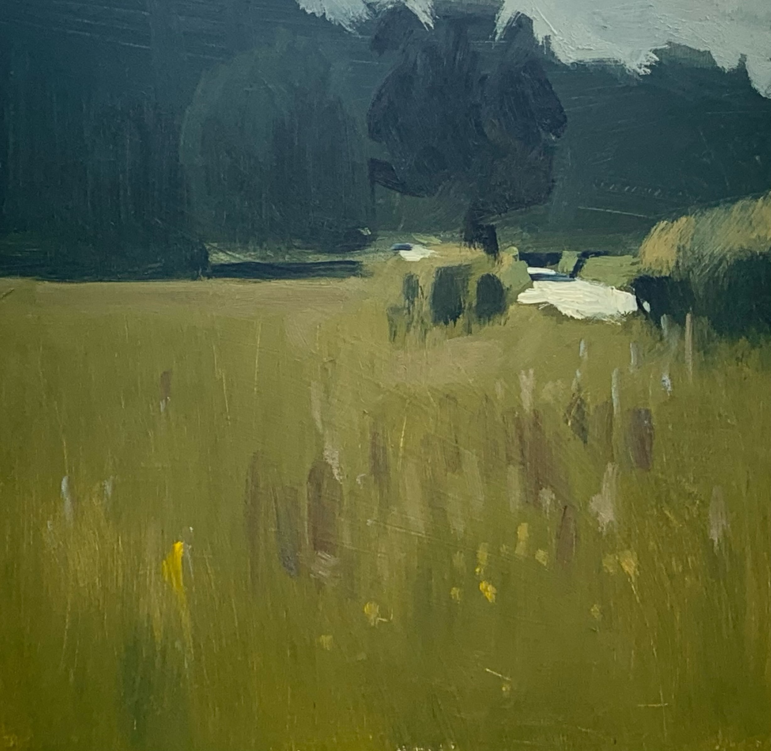 Down in the valley, meadows high and a sun struck bend in the road.
#pleinair #gardenofengland #oilpainting