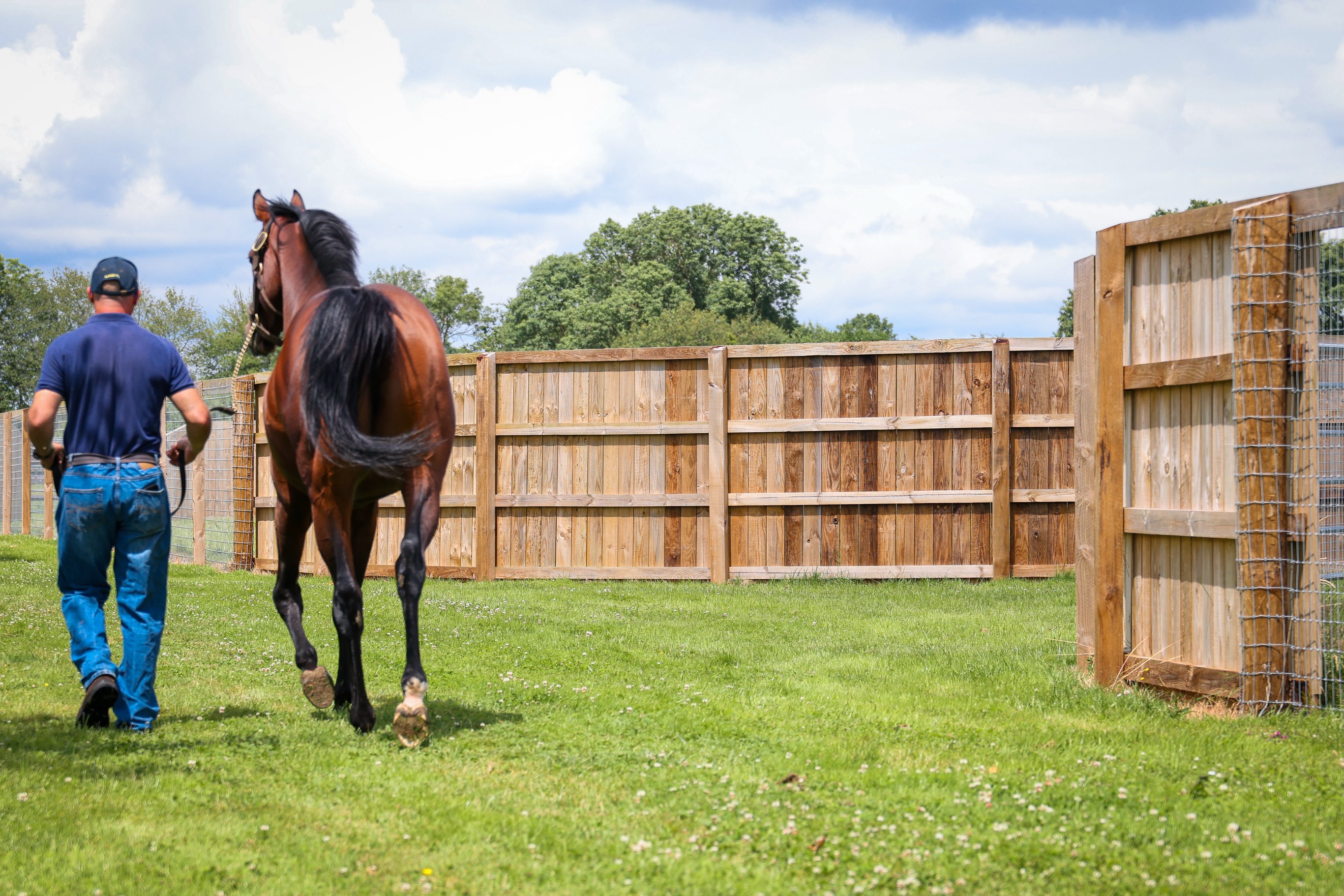 With all this warm weather we’ve been having, it’s got us thinking about boarded corners and integrated water drinkers ☀️🐴
Keep your horses hydrated with a durable water trough designed for everyday use. Installed outside the paddock fencing for easy access from within, it ensures safety, cleanliness and peace of mind 💦
Then integrate boarded corners as a practical solution that also provides shelter, security and safety on steep hills and sharp corners for horses while adding aesthetic value to your paddocks 🤍
📸 @eventsthroughalens
🐴 @sumbe_fr
#nortonsfencing #equestrianfencing #equestrian #fencing #equestrianproperty