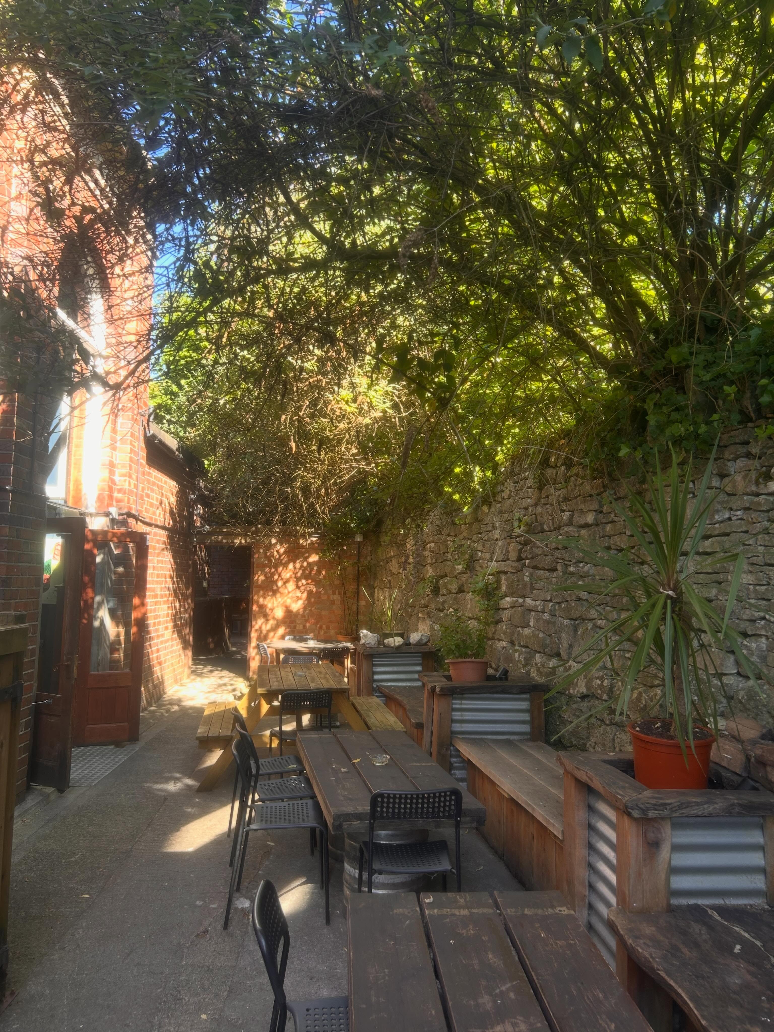 Garden looking goooood in the sunshine!