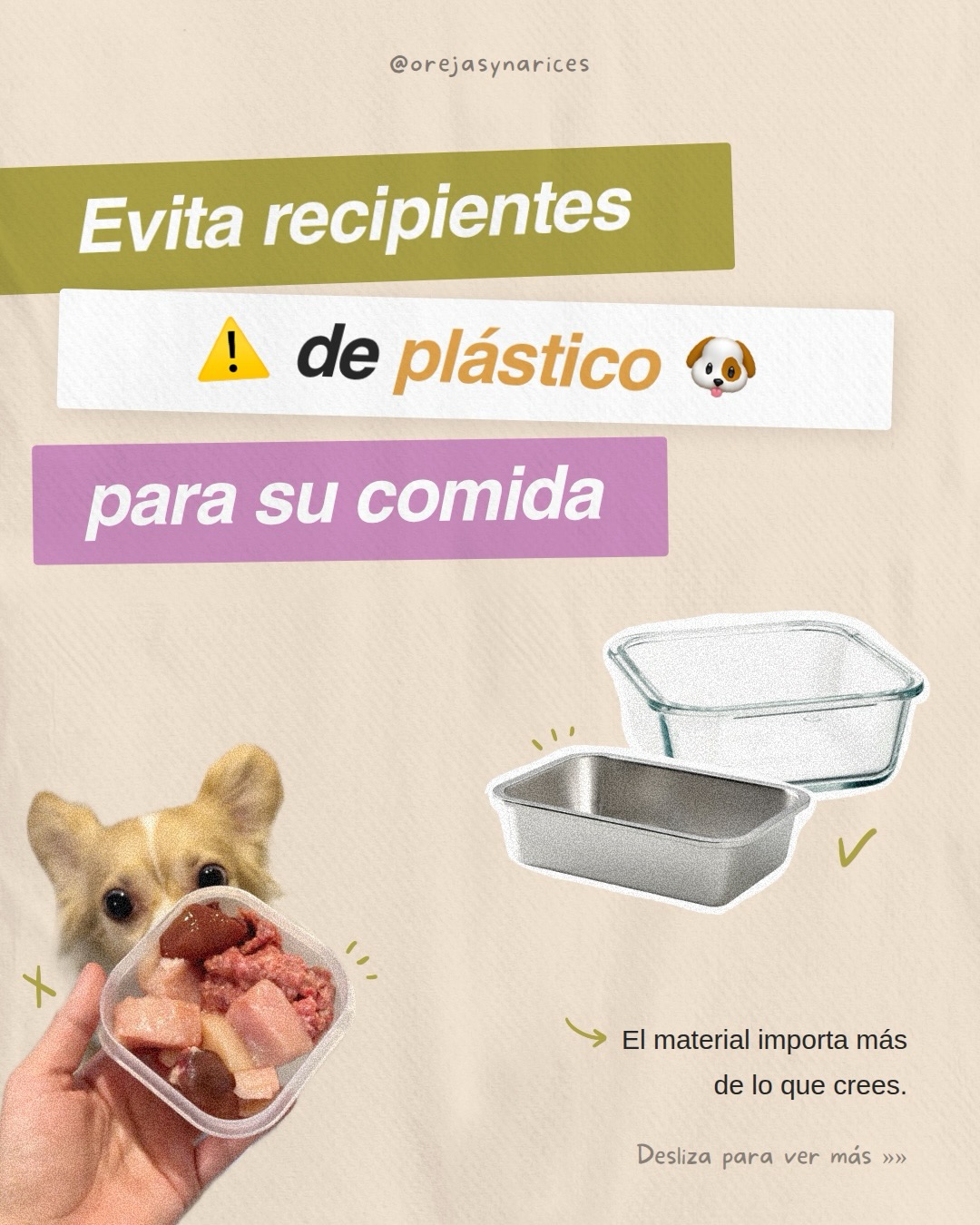 Voy a ser honesta contigo: yo todavía uso plástico (tal vez te has dado ya cuenta jeje) 🙋🏽♀️
Lo sé, lo sé… Justo esto es algo que tengo muy presente por estos días y en lo que quiero invertir pronto. De hecho llevo estos días pensando mucho en la importancia de hacer este cambio rápido y por eso quise compartirte esta info hoy. ❤️
Porque eso es exactamente lo que significa el bienestar consciente para mí: aterrizar la información a nuestra realidad, ir a nuestro ritmo, pero siempre buscando lo mejor para nuestros perrunitos. 💪🏽✨🐕
Guárdalo para tenerlo siempre presente y compártelo con otra mamá perruna a la que le pueda servir. 🫙🐾