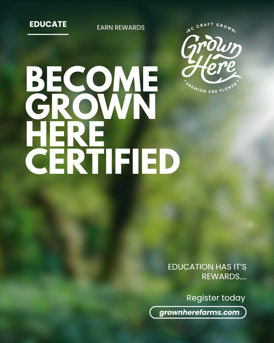 EARLY ACCESS TODAY!! RETAILERS, BUDTENDERS, WELLNESS CLINICS!
Become Grown Here Certified. Education Has It's Rewards.
We are launching a new Budtender / Retailer certification experience designed to help retailers, clinics and wellness professionals better understand our unique CBD flower growing methods, philosophies and regenerative cultivation as well as what kind of customer is looking for our products and how to place them.
This is not just another product training.
This is a movement toward better education and more intentional CBD retail experience. Join today and earn some limited edition rewards!
Reward Structure - Complete the Course. Earn Exclusive Rewards.
Our Full Education Program takes approx 60 minutes to complete all courses. Go at your own pace, return if you need.
Tier 1
Complete within 15 days:
Choose 1 of 7 Limited Edition Art T-shirts SEE BELOW (limited quantity available - once they're gone they're gone!)
Receive a secret bonus gift!
Tier 2
Complete within 30 days:
2 - Receive a custom Grown Here hemp biomaterial grinder
Receive a secret bonus gift!
Go to grownherefarms.com EDUCATION HUB to join today and start earning!
#cbdeducation #bccraft #cbdflower #regenerativeag