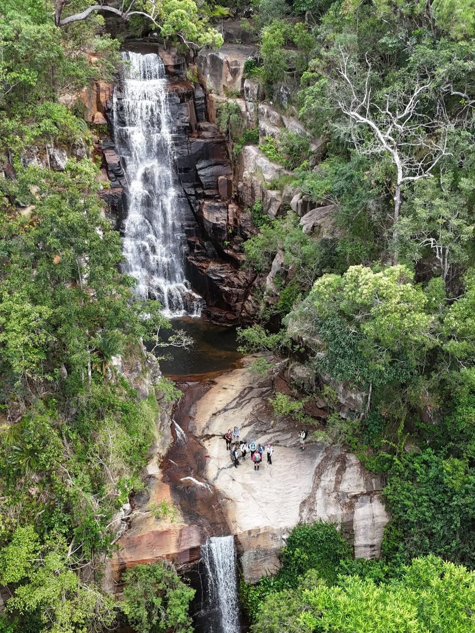 👑💦 King Falls 👑💦 Check out this incredible view of one of Bowling Green National Park’s biggest & best waterfalls! 🤩🏞️ We recently visited this epic spot, not far from the Terraces and High Camp 🚶♂️🌴
Who doesn’t love a good waterfall? 💙
#tsvhikeandexplore #waterfallwednesday #townsvilleshines #communityoutdoors #hike