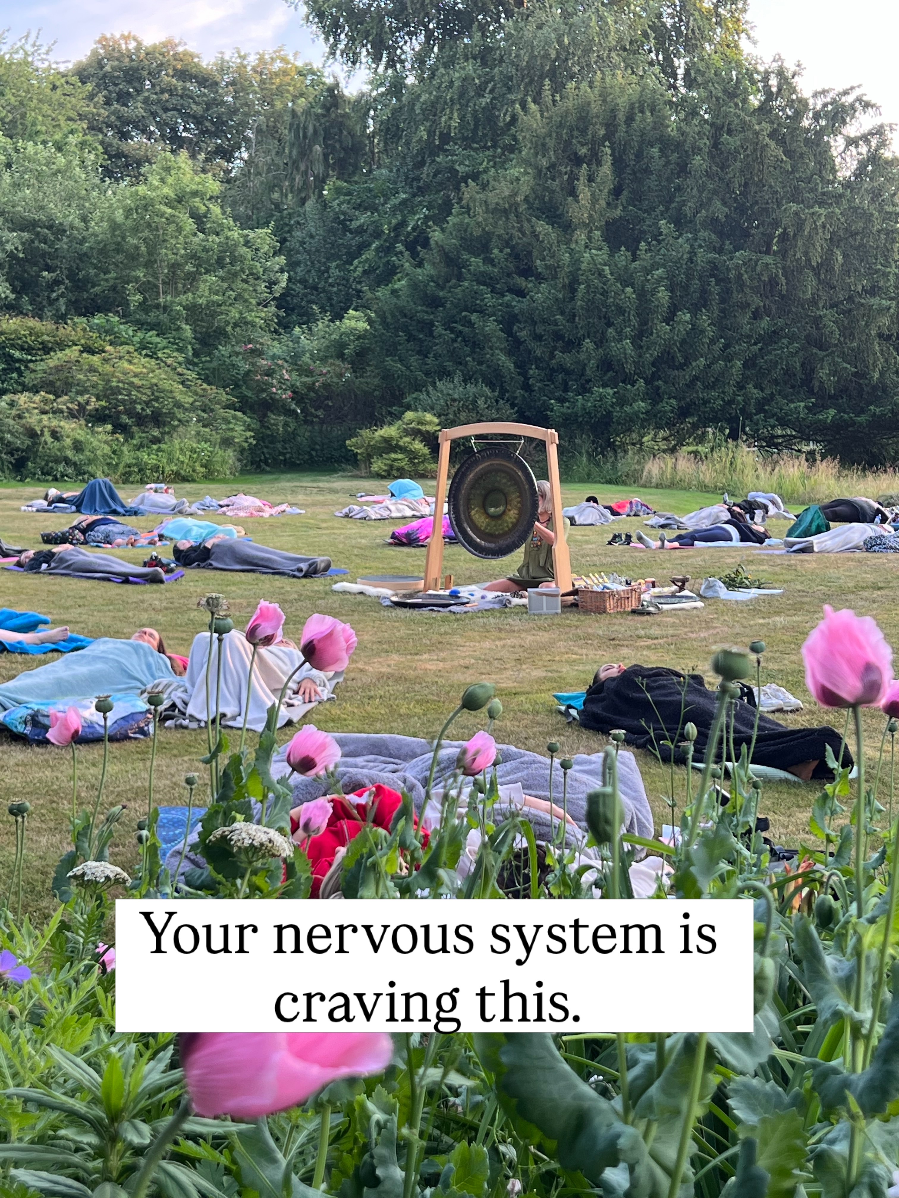 When did you last do something just for you?
Spending time in nature lowers cortisol. Sound vibration calms the nervous system. Put the two together, outside, in the Chilterns, as the light softens and something genuinely shifts.
That’s what an outdoor sound spa feels like.
No experience needed. Just you, a yoga mat, blanket, and 90 minutes of actually doing nothing.
We have a few magical evenings coming up this summer in meadows and under open skies across the Chilterns. Click link in bio to take a look.
Come as you are. Leave feeling different. 💗💫
#soundspa #soundmeditation #naturetherapy #thechilterns #buckinghamshire
