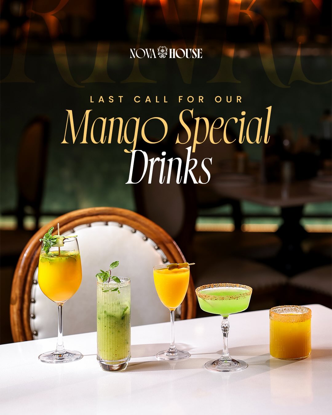 Indulge in the taste of summer with our Mango Special Drinks, crafted to refresh and delight with every sip. Don’t miss out, they’re leaving soon.
#novahouse #mangomenu #summercocktails
#banquetsinmiraroad #premiumhotel
Nova house, mango menu, luxury hotel, new
restaurant, places to eat in mira bhayandar, bar