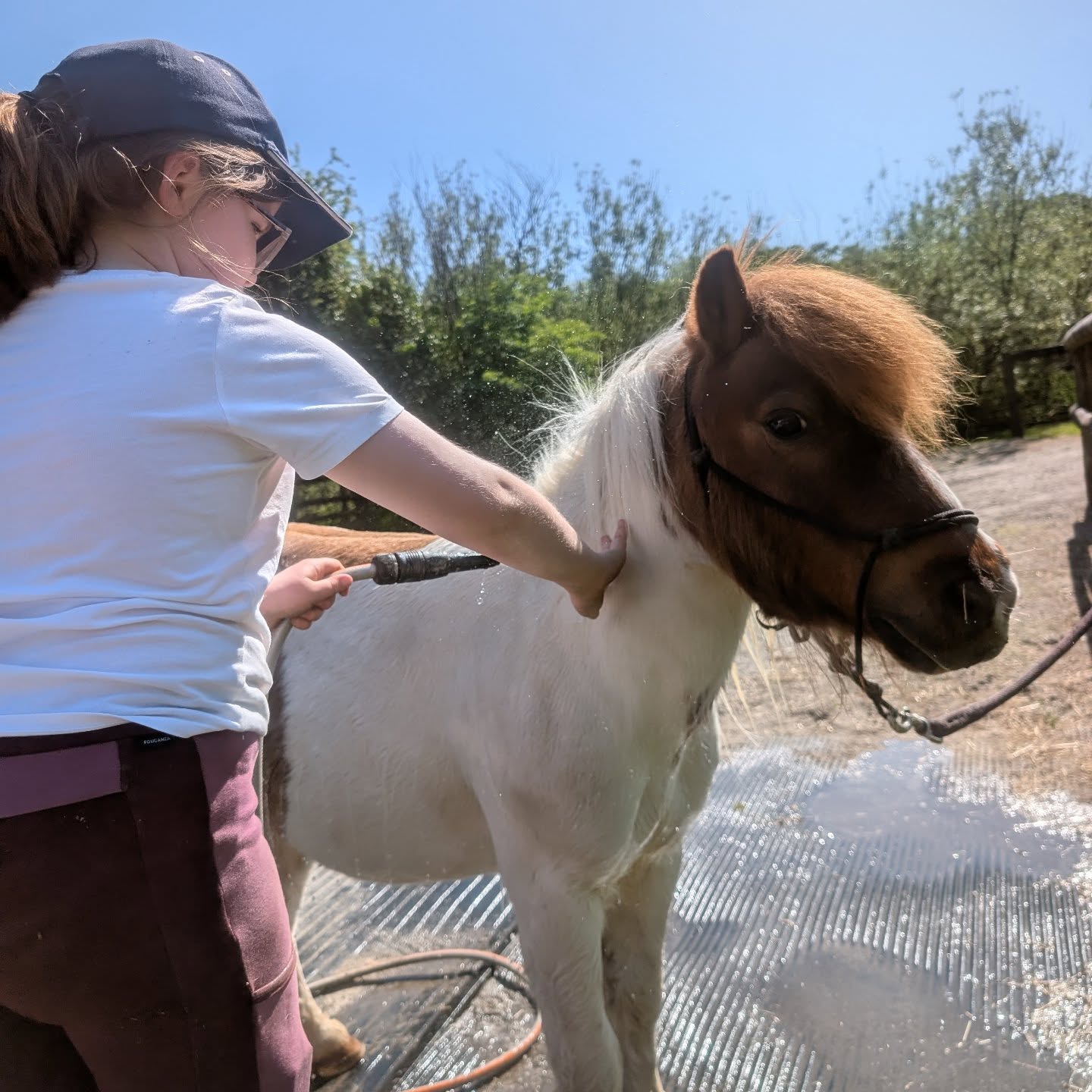 Sunshine, splashes, and pony cuddles ☀️🐴” Lily our lovely holiday guest helping us keep the ponies cool 😎
.
.
.
#holidaycottage #countrysideescape #farmstay #ponylove #dartmoorholidays