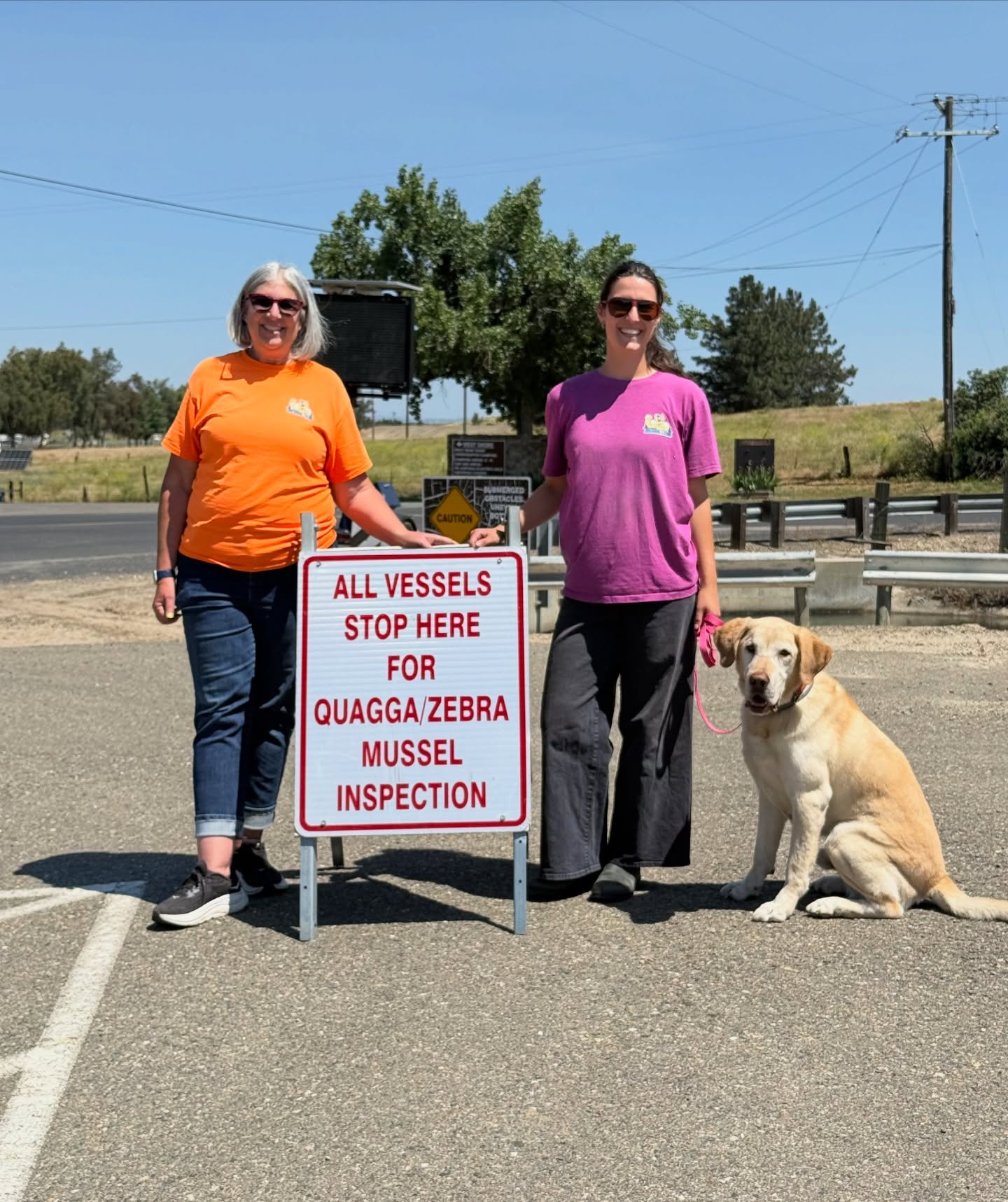 Head on over to Modesto Reservoir to meet Gilligan and Marco, the dogs helping protect this waterway from invasive mussels!
Modesto Reservoir is more than just a summer destination for boating, fishing, and recreation. It provides crucial drinking water to communities throughout Stanislaus County and supports the surrounding farmland that keeps our local agriculture thriving. Keeping invasive mussels out helps protect the water, infrastructure, and resources we all rely on.
#detectiondog #conservationdogs #workingdog #ais #cleandraindry