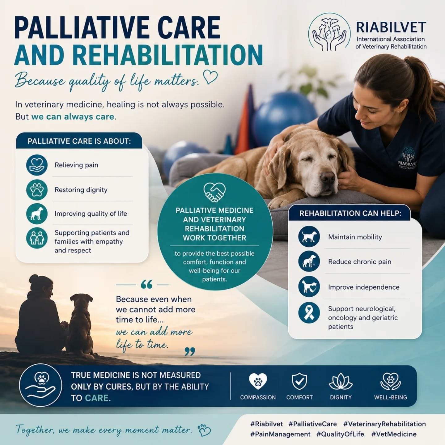 RIABILITAZIONE
💙 Curare non significa sempre guarire.
A volte significa:
✔ alleviare il dolore
✔ restituire dignità
✔ migliorare la qualità di vita
✔ accompagnare pazienti e famiglie con empatia e rispetto
La medicina palliativa e la riabilitazione veterinaria lavorano insieme con un obiettivo comune:
👉 dare più comfort, funzionalità e benessere possibile ai nostri pazienti.
La riabilitazione può aiutare a:
✔ mantenere la mobilità
✔ ridurre il dolore cronico
✔ migliorare l’autonomia
✔ supportare pazienti neurologici, oncologici e geriatrici
🌍 Perché anche quando non possiamo aggiungere più tempo alla vita…
possiamo aggiungere più vita al tempo.
💬 La vera medicina non si misura solo nelle guarigioni.
Ma nella capacità di prendersi cura.
#Riabilvet
#MedicinaPalliativa
#RiabilitazioneVeterinaria
#PainManagement
#VeterinaryRehabilitation
CurePalliative
VetMedicine