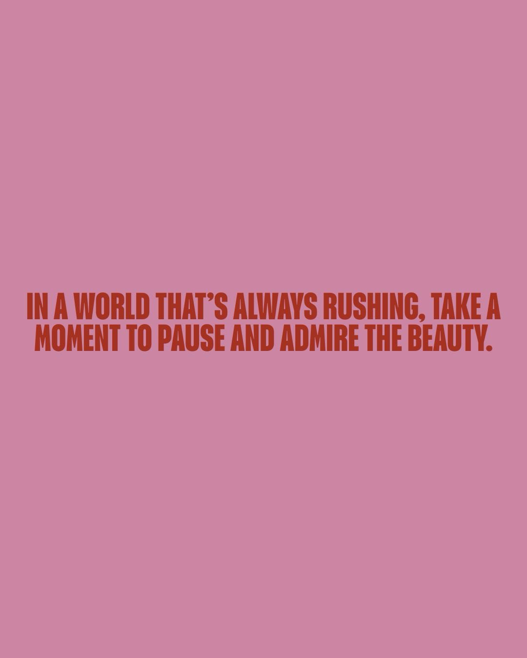 In a world that never stops, beauty is an act of rebellion.
For one day, time bends around you, around the flowers, the light, the people you love.
Stop. Look. Feel.
This is what we, the florists, create for the moments you’ll never forget.