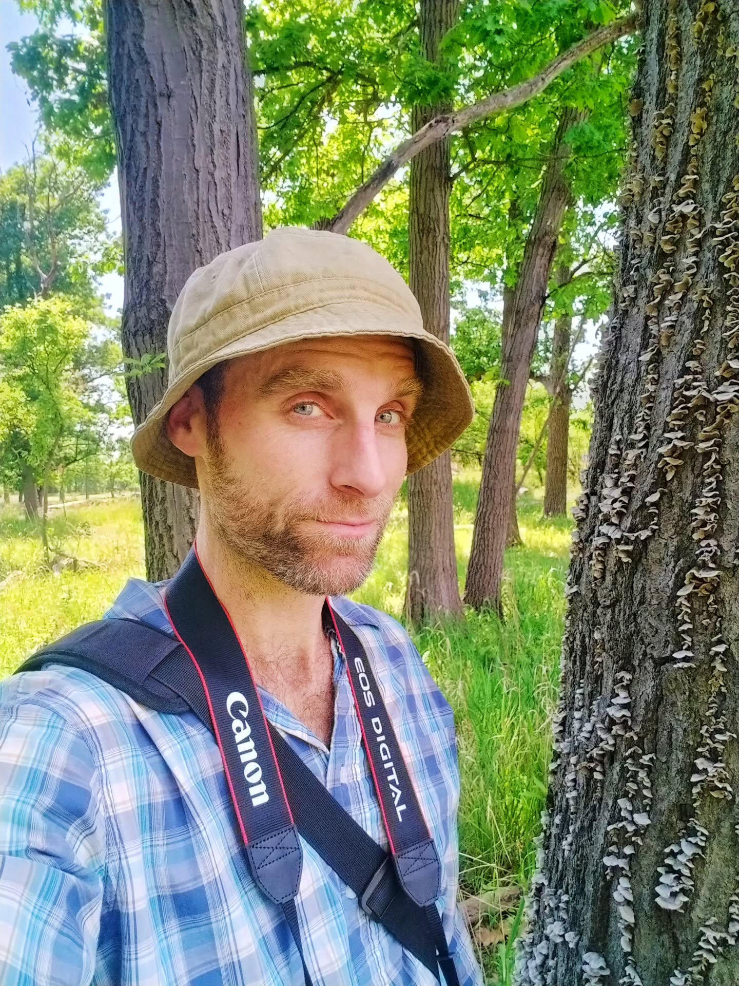 Happy to share that I'm back in the field this summer working on the fifth edition of my book, A Field Guide to the Biodiversity of the Chicago Region. I've added 17 new species in the last two days and 53 new ones overall so far. Trying to especially expand the sections of the guide focusing on the insects and other invertebrates. Peace y'all!
