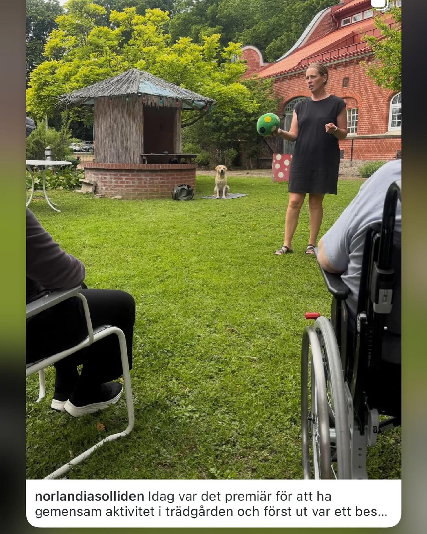 Igår jobbade vi på ett äldreboende i Arlöv. Vi brukar vara ute sommarhalvåret och det är helt underbart! Men onekligen lite svårare då det finns harlortar och annan spännande bajs överallt. Då plötsligt blir Ronnie väldigt mkt labrador och jag får jobba lite extra. Men vad vi njuter av att vara ute! ❤️ #teamolsen #teamolsenforthewin #socialtjänstehund #vigörskillnad #labofinstagram