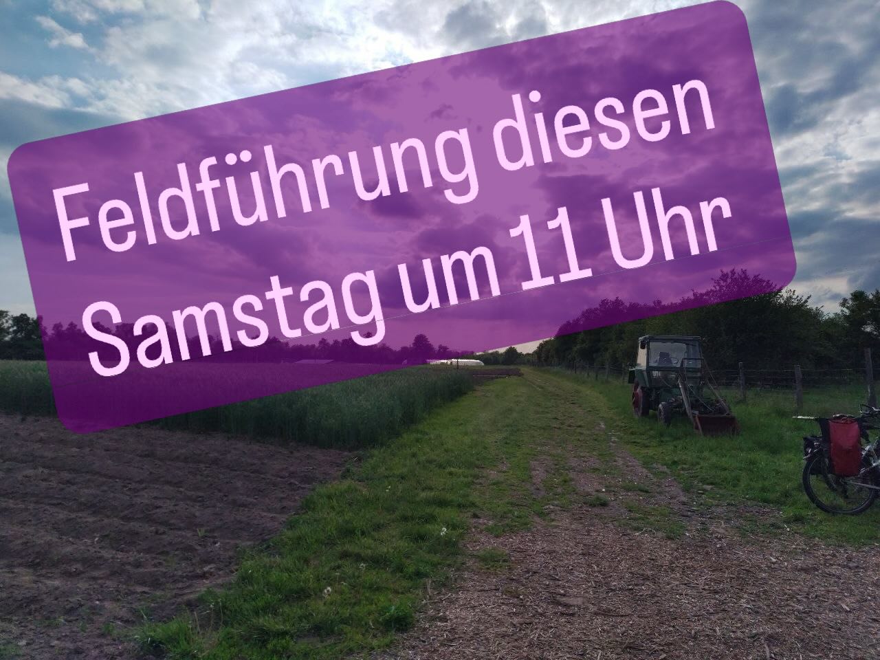 Überall kreucht und fleucht es. Kommt gerne zu unserer nächsten Feld-Führung am Samstag, 30. Mai, 11 Uhr und entdeckt, wer jetzt auf dem Kartoffelacker das Rennen macht: Mitglieder, Profi-Gärtner*innen oder ….? Wir zeigen, wie viel Spaß solidarischen Landwirtschaft macht.
Treffpunkt: FrohLaWi-Feld Abholstand, Stolper Feld, Nähe Invalidensiedlung, Anmeldung nicht erforderlich.