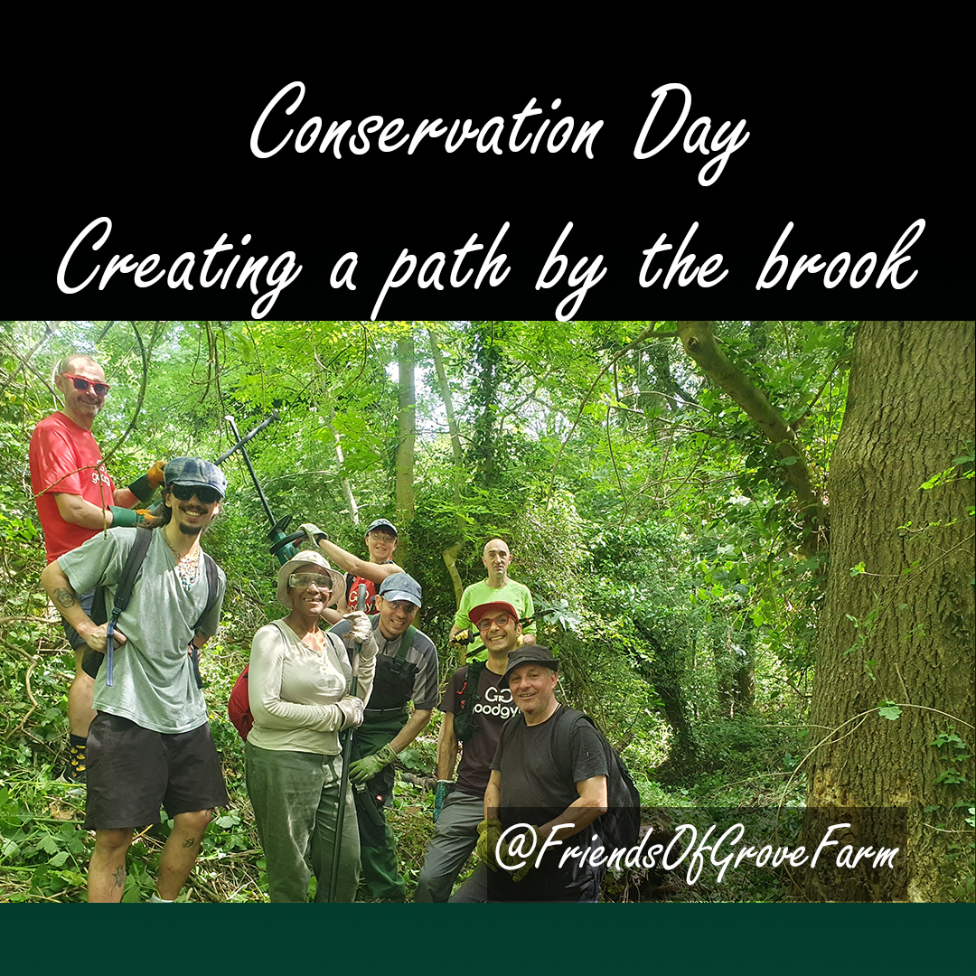 ❄️ Keeping Our Cool in the Grove Farm’s Woods 🌳
On a blazing hot day, an intrepid crew from #FriendsOfGroveFarm and @goodgym_ealing worked along Coston’s Brook to create an access path for future conservation days. The group immediately were thankful for the cooler temperatures when working within the woodland. Forest Research report that trees can reduce local air temperatures by between 2 °C and 8 °C, so the team were very thankful for the shade and the evaporation of water from the leaves helping to keep things cooler.
Armed with loppers, hedge trimmers and saws, the team tackled brambles, nettles and hawthorn, making tough choices so that future access to treat some invasive species will be possible. Along the way the team spotted fungi (King Alfred’s cake) and even uncovered a mysterious Sainsbury’s bag full of discarded Barbie dolls!
There’s still more to do and the road to reach the treatment area will be long, so we’ll be back in June to finish the job.
Many thanks to Giovanni, Sevan, Steph, Kash, Livio, Portia and Rafael for all their help.
#Conservation #CommunityAction #WoodlandRestoration #NatureLovers