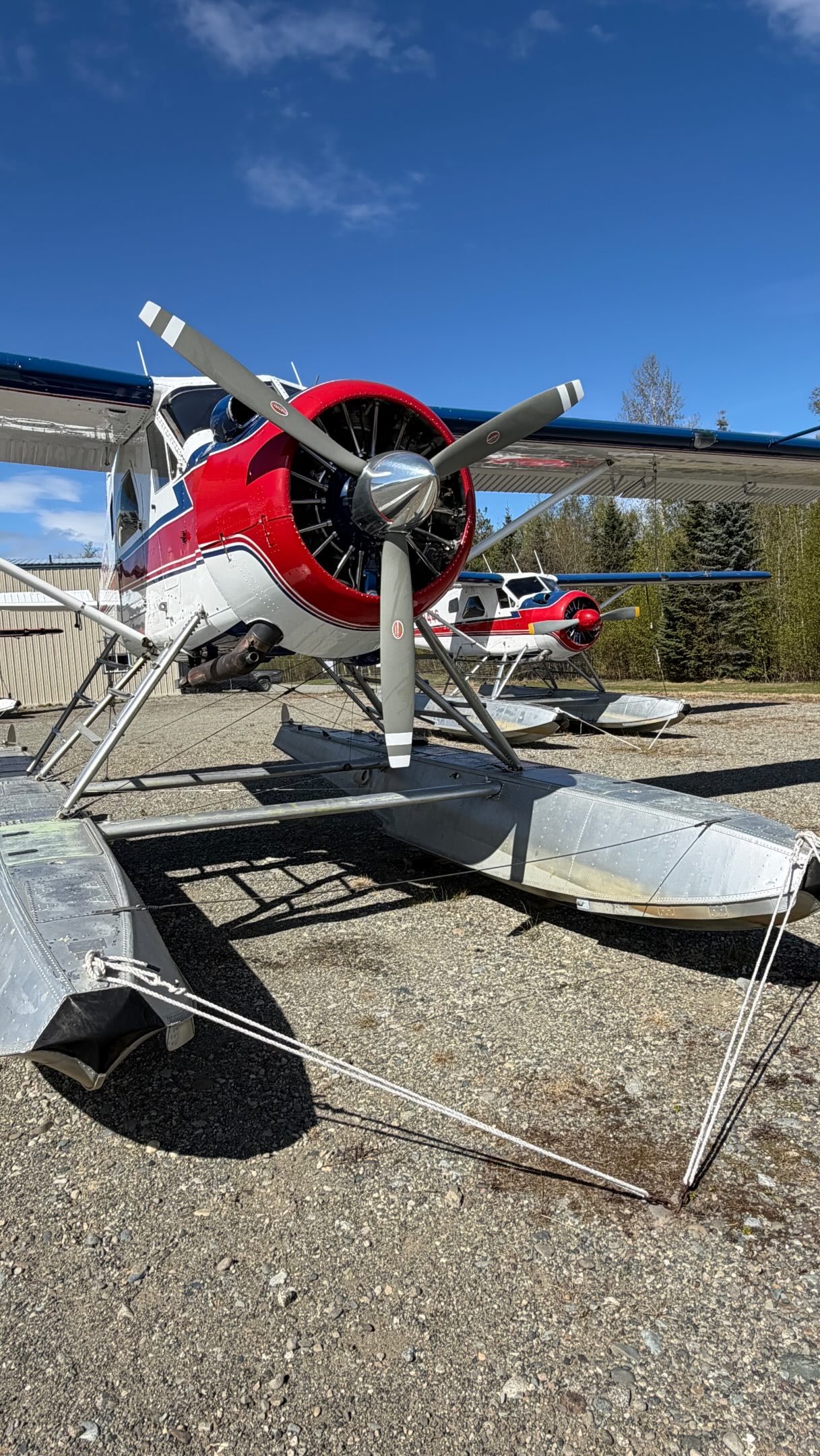 Season kickoff at Alaska Rainbow Lodge ✈️
The first beaver has officially been picked up and just like every season, it all started with the traditional tractor ride at tailwind_ak! Another unforgettable Alaska summer is about to begin. We can’t wait to see you all soon!
#alaskarainbowlodge #alaskalodge #fishinglodge #rivermonsters #alaskafishing