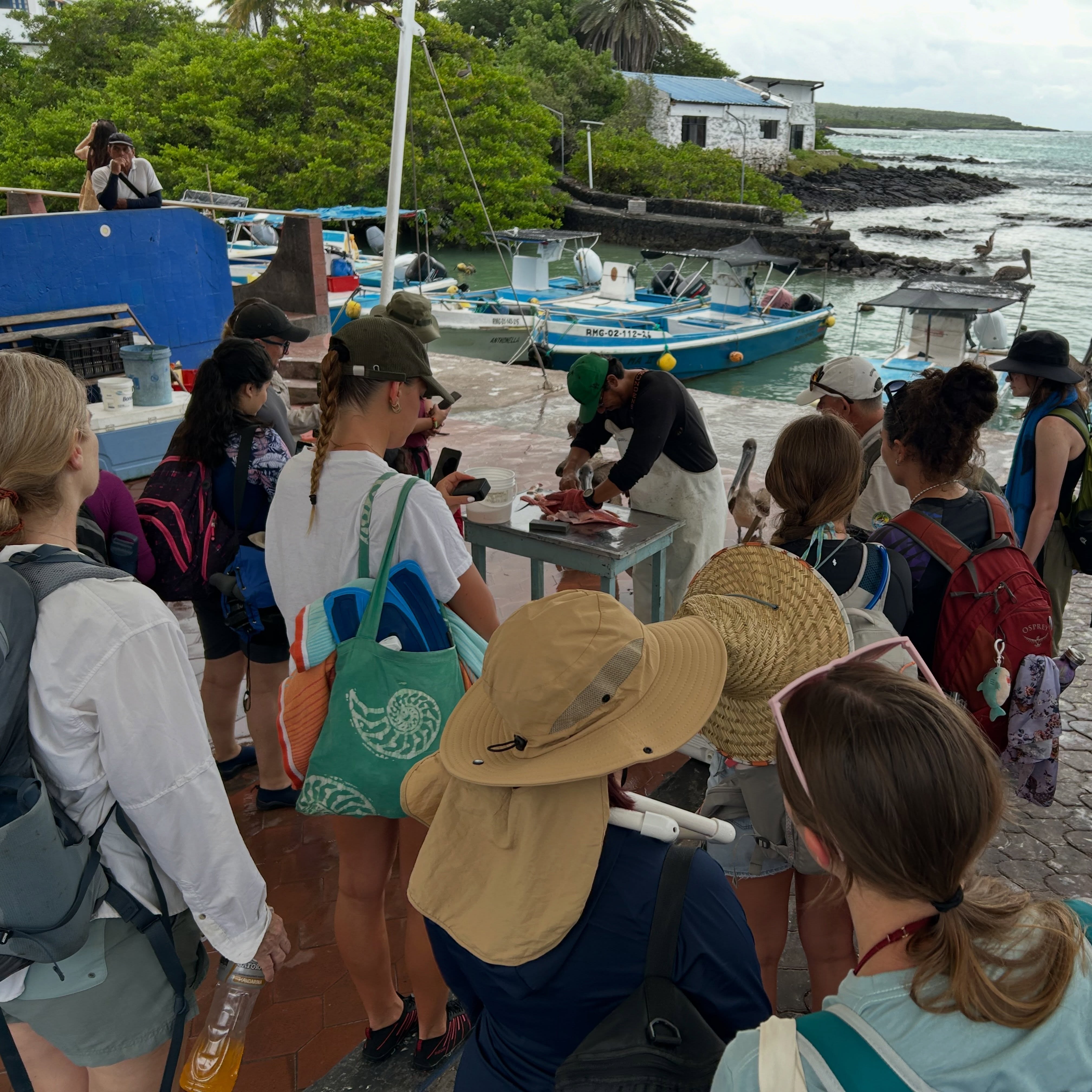 The day started with a visit to the #fish market and observing a local fisherman making quick work of a deep water rockfish. The #students (back row) got to pose with the fish (front row). We then proceeded to #snorkel and learn about #transect and quadrat sampling. More #lectures in the afternoon and a paper discussion in the evening atop the hotel. Nonstop activities and tremendous fun with hands on learning. Now busy preparing for our adventures tomorrow. @fauecos @fauscience @abigail.scigliano @allietrost @brileigh_rayl @sofia_jans @birdwitdaravioli @anneliesel06 @eba1yn @jo.lamaison