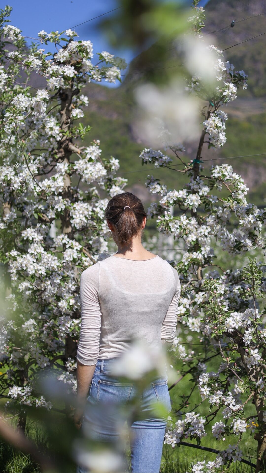 Mit uns im Feld: gemeinsam Herausforderungen anpacken und meistern. 🚜🍎
#intactsolutions #growingsolution #zeroresidue #obstbau #qualität #ertrag