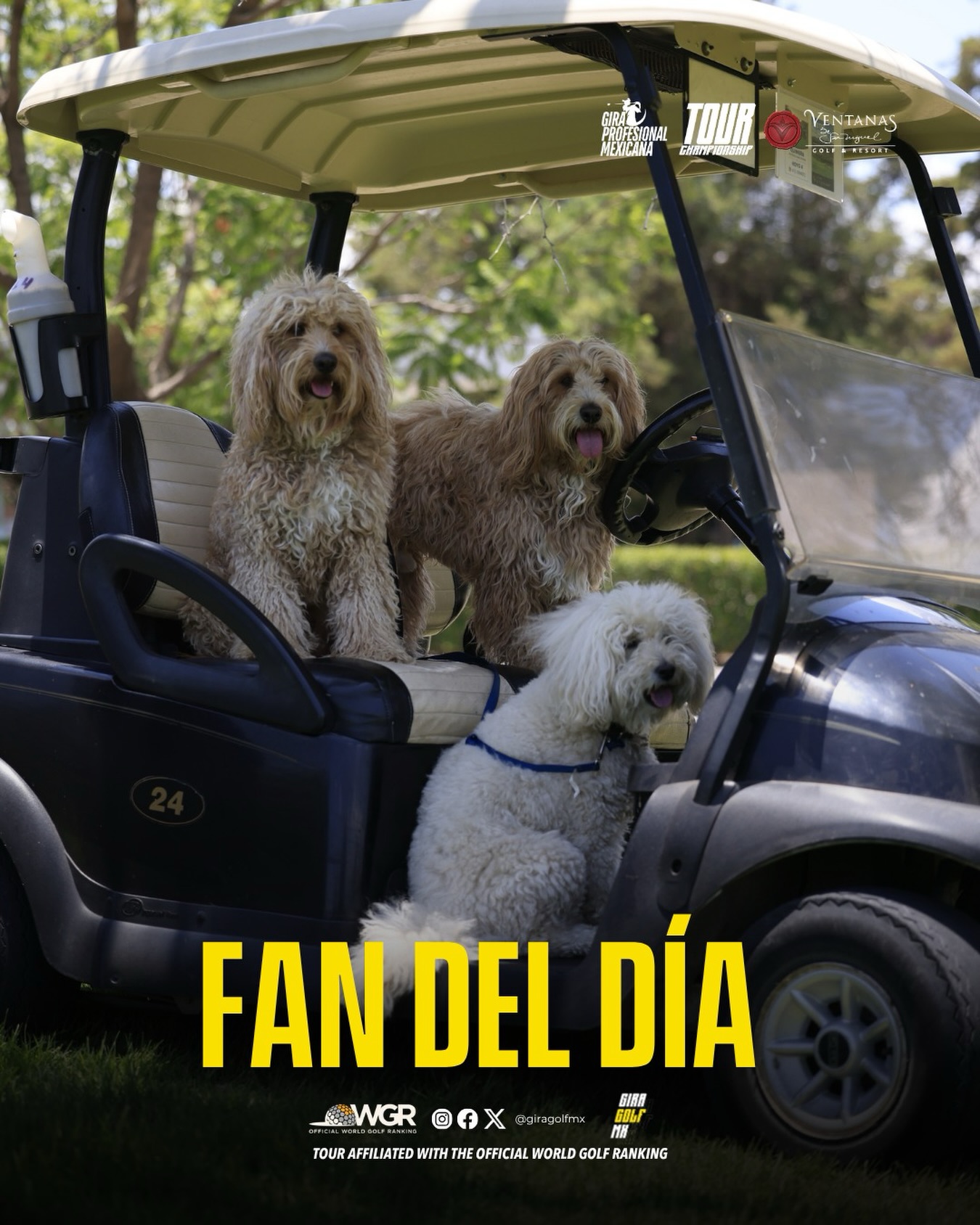 ¡Nuestra galería tiene unos fans muy especiales este día! 🐶🐶🐶
#TourChampionship #GiraProfesionalMexicana #GiraGolfMX