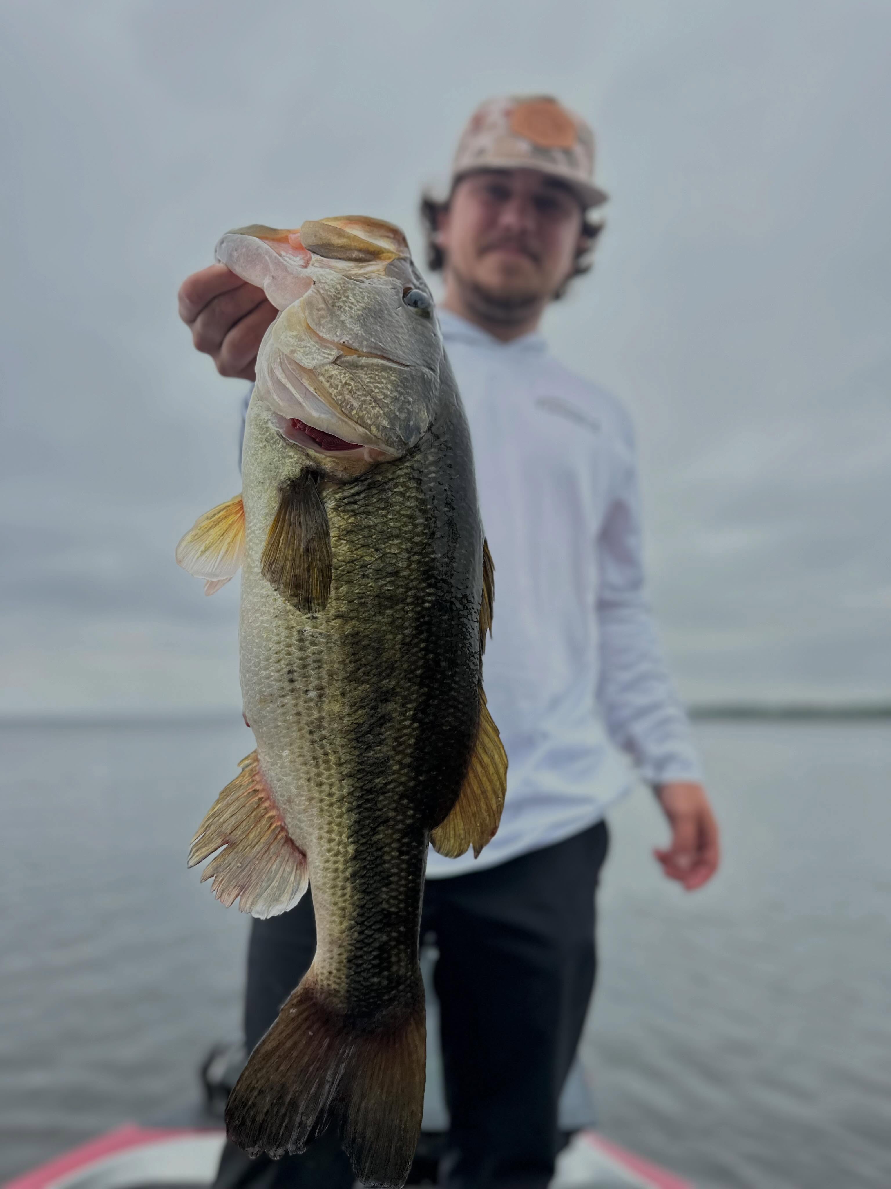 Come join me on the water the next two months for some Albermarle giants. Don’t miss out! #bass #largemouthbassfishing #inshorefishing #bucketmouth #topwater