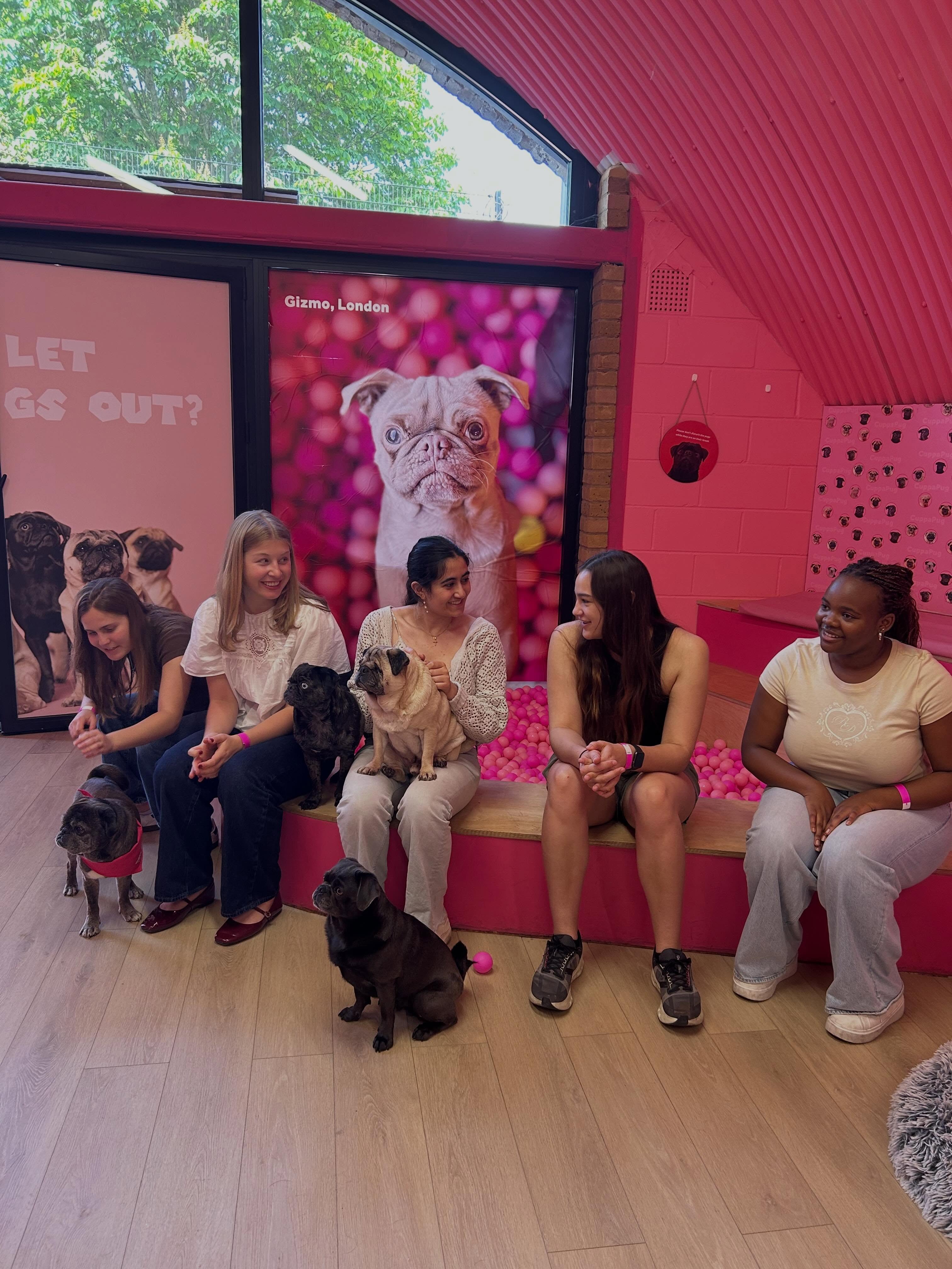Pawsitively the best way to do a study break! 🐶