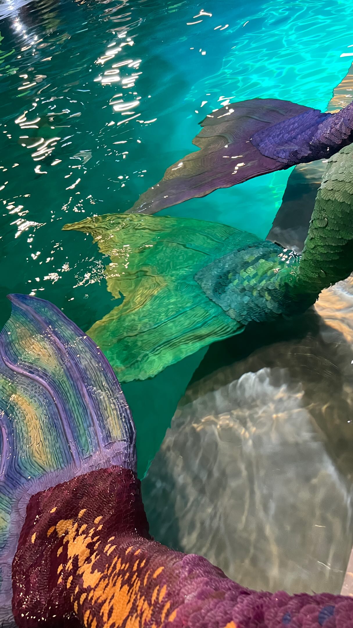 A little reminder for anyone waiting until everything feels perfect before they show up:
It probably won’t.
Something will break. The timing will be chaotic. You’ll be getting ready in a car, fixing a headpiece with five minutes to spare, wondering how this is somehow your real job.
But you show up anyway.
Because that’s usually where the magic actually happens 🧜♀️✨
#MermaidTarielle #RealMermaid #MermaidLife #ProfessionalMermaid #PerfomerLife