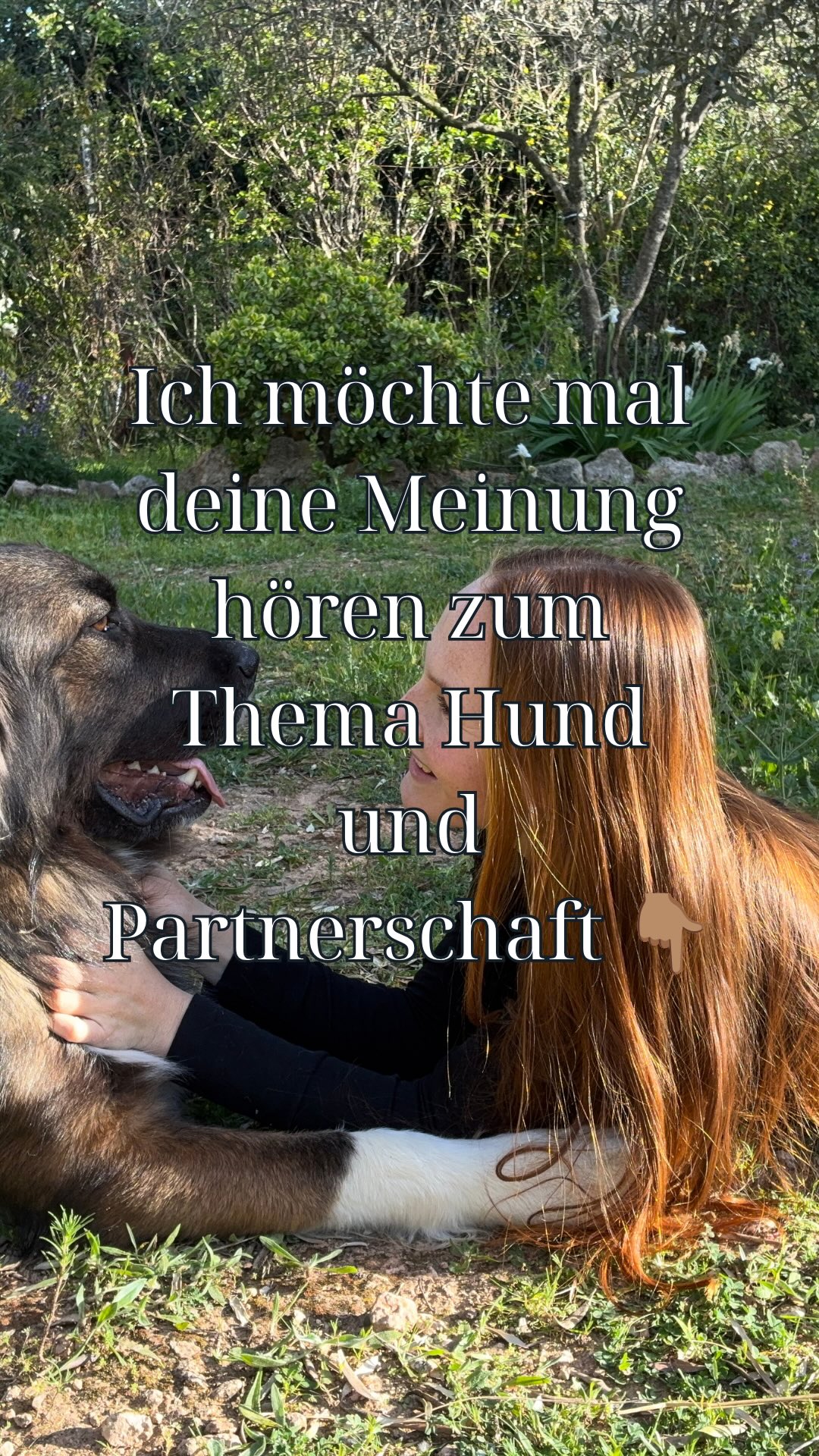 Ich möchte noch hinzufügen, dass es gar nicht gegen den Partner gehen soll. Es geht darum, gemeinsam eine Weg zu finden, der wirklich für alle passt.
Was denkst du? Interesante Idee?🧐
Hundeeltern werden
Hundemama werden
Hund adoptieren
Vorbereitungskurs bevor der Hund einzieht
Pärchenkurs für Hundeeltern