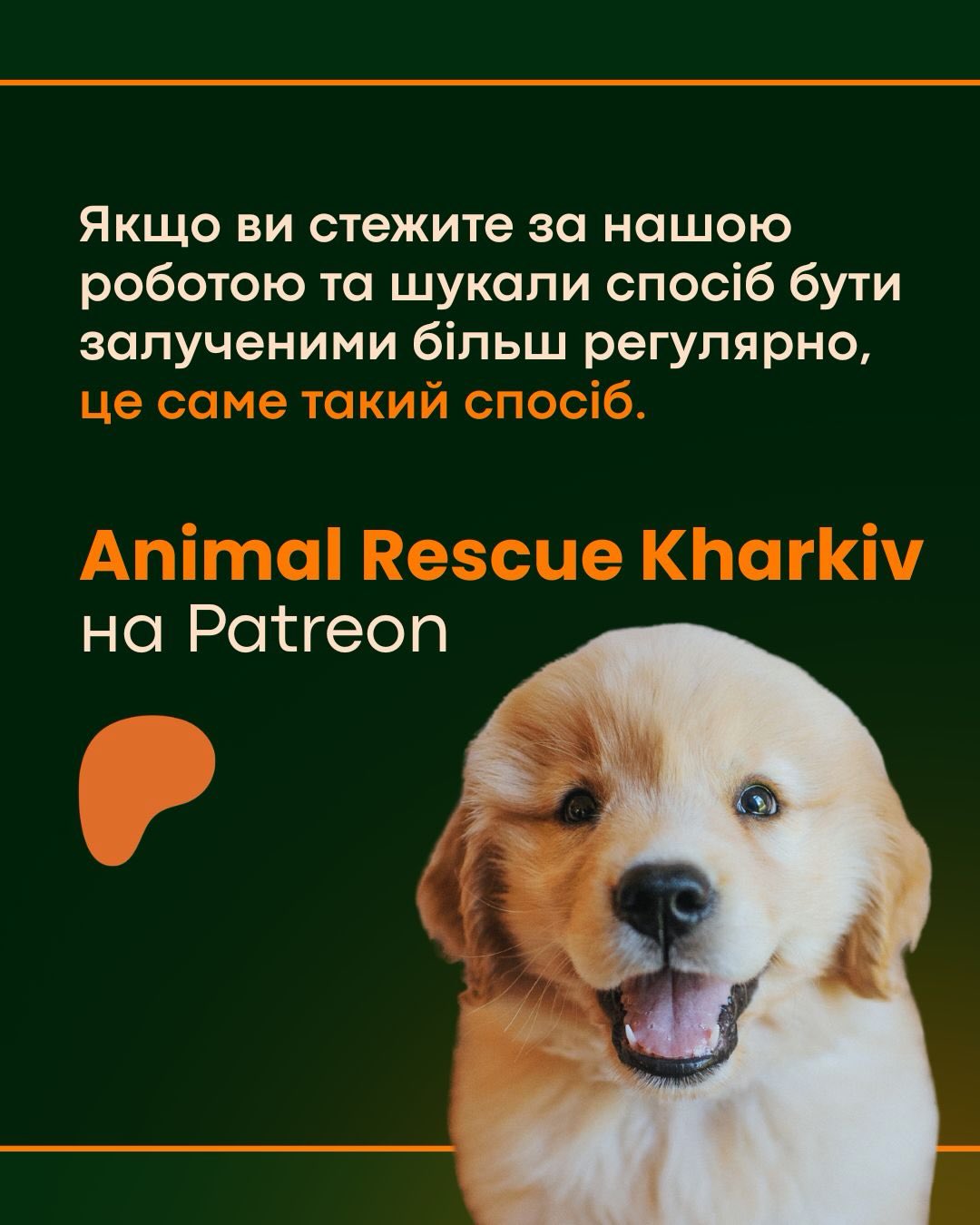 Ми вдячні за будь-який спосіб підтримки і тепер Patreon серед них.
Щомісячна підтримка має більше значення, ніж може здаватися. Вона допомагає стабілізувати все, що ми робимо: від операцій із порятунку до ветеринарного догляду, до систем, які забезпечують нашу роботу тиждень за тижнем.
Якщо ви стежите за нашою роботою та шукали спосіб бути залученими більш регулярно, це саме такий спосіб.
Це тільки початок і ми лише починаємо будувати щось важливе тут, а також із нетерпінням чекаємо, коли зможемо ділитися більшим. Наші середні та вищі рівні включають живі сесії з лідерами команди та членами Порятунку Тварин Харків, даючи вам погляд зблизька на роботу та людей, які за нею стоять, а також шанс почути що відбувається зараз і поставити питання напряму.
Напишіть PATREON у коментарях і ми надішлемо вам лінк.
(
For English version please go to @animal.rescue.kharkiv.en
***
We’re grateful for every kind of support and now that includes Patreon!
Monthly support matters more than you might think. It helps stabilize everything we do, from rescue operations to veterinary care to the systems that keep it all running week after week.
If you’ve been following our work and have been looking for a way to be more consistently involved, this is it.
It’s early days and we’re just getting started building something important here and we look forward to sharing more. Our mid and upper tiers include live sessions with team leaders and members of Animal Rescue Kharkiv, giving you a closer look at the work, the people behind it, and a chance to hear what’s happening now and ask questions directly.
Comment PATREON below and we’ll send you the link.