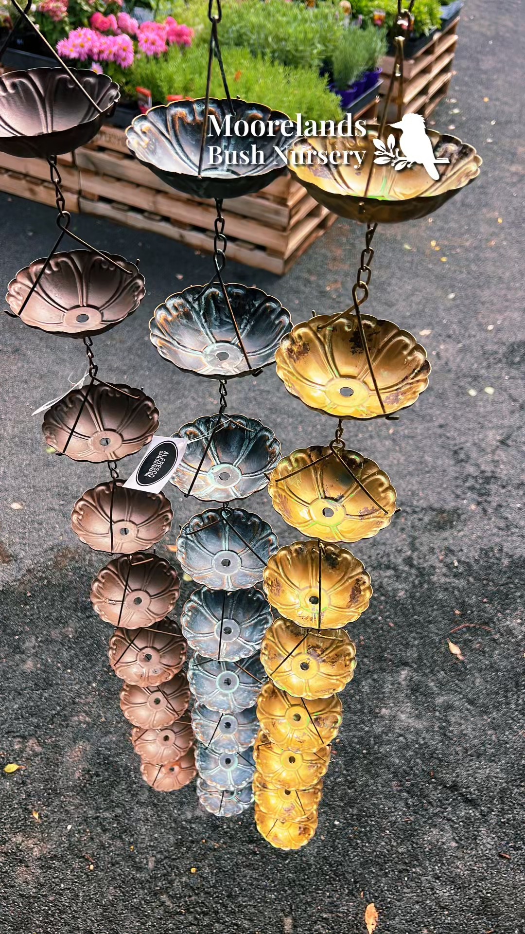 Who knew a rainy day could look this good? 🌧️
Rain chains turn a downpour into a water feature and honestly, we think they are one of the prettiest things in the nursery right now.
Come out and see us this weekend and find your favourite style.
📍 1344 Dargal Road, Roma
Open Mon-Fri 9am-2pm | Sat & Sun 8am–4pm