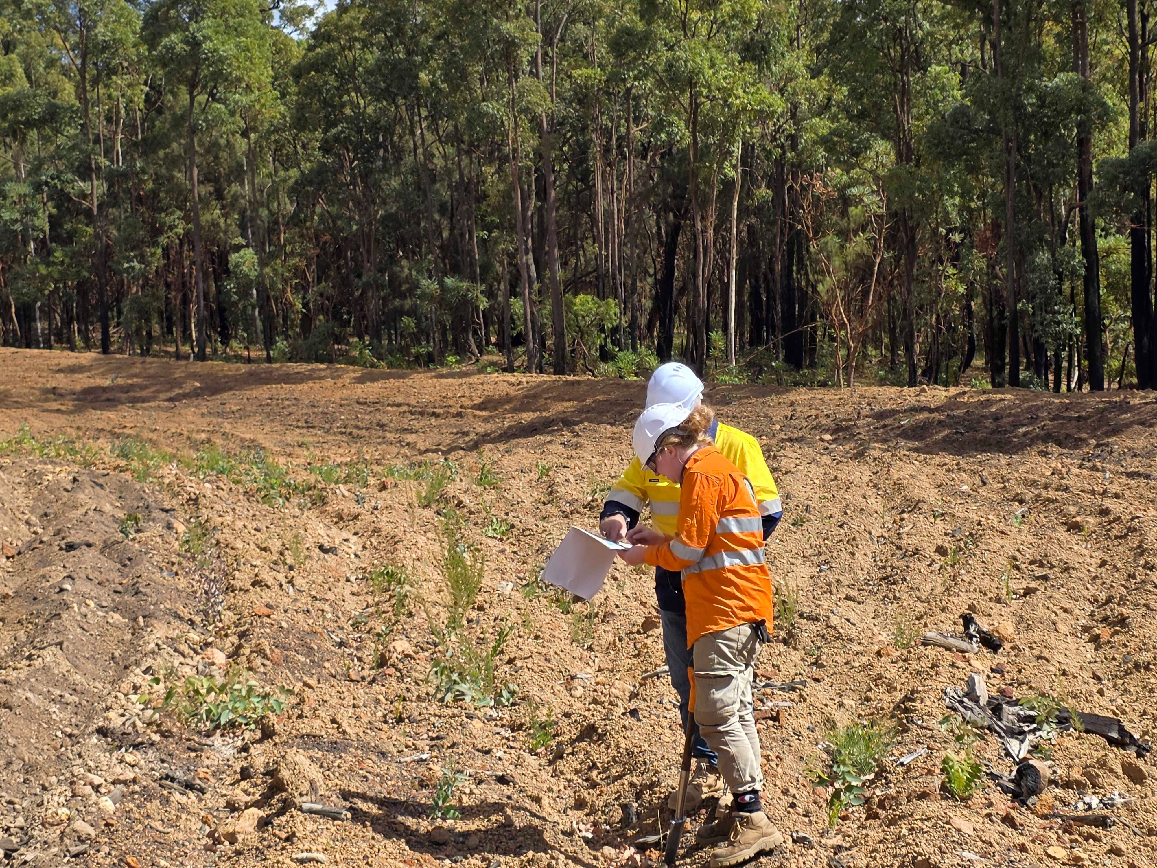 In forestry tree planting, a lot of the work happens before you even put a tree in the ground.
Taking the time to plan things out properly. Like the site, the crew, and the day ahead, goes a long way in keeping everyone safe and the work running smoothly. It just makes everything more efficient once you’re out there doing it.
It’s not just about getting trees in the ground, it’s about doing it properly.