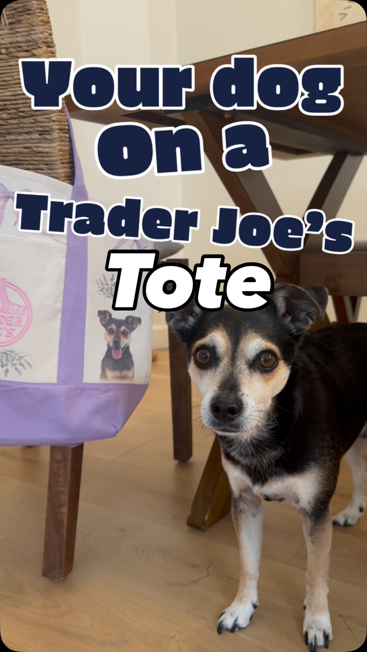 Goals!
#dogs #traderjoesfinds #traderjoes #traderjoeshaul #traderjoesmusthaves
