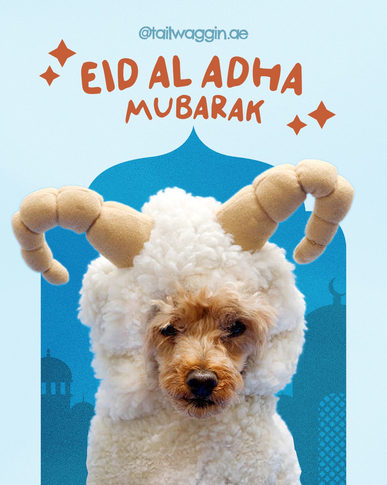 Celebrating with gratitude, love, and a little extra care for the pets who make our homes complete. Eid Mubarak from Tail Waggin’! 🧡✨