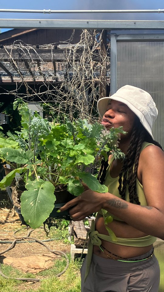 Urban Farmer AF 📍DC
.
.
.
.
Only three months into my 8 month study of regenerative agriculture with @commongoodcityfarm @farmrwes and I'm calling myself an Urban farmer 😘
🥬🥒🍅
We have our own ways of learning + teaching each other, we love walking bare foot any chance we get, and we light up like little kids over Everything🌱!!!!
I've been so ready to get our plants into our shared beds @huhalogarden since we started the seeds. WE PLANTED YESTERDAY🥰 And, we hooked up the drip irrigation so the plant babies are taken care of while we are away studying ☺️
Our plants?
Cucumber, Arugula, Kale, Spinach, and Turnips
Trust... I'll keep you posted on our growth🫶🏾✨️
#UrbanGardening #UrbanFarmerAF #UrbanFarming #regenerativefarming #DCUrbanfarms
.
.
.
.
Oh, and if anyone has a plug on dope AF bucket hats please let me know! Gotta protect my face in this ☀️