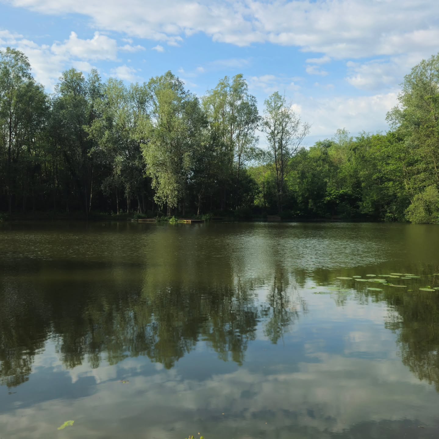 Happy Thursday 🐟✨️
#anglerlife #fishingready #coarsefishing #flyfishing