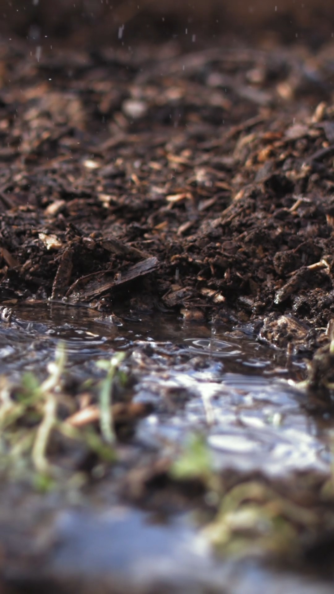 No toda el agua se mueve en superficie.
Parte infiltra en el suelo y circula lentamente antes de reaparecer en otros sectores del paisaje, ese movimiento gradual ayuda a estabilizar humedad y caudal dentro del sistema, gran parte de esa dinámica ocurre fuera de vista.
#Agua #Hidrología #Ciencia #Naturaleza #MedioAmbiente #NaturalezaViva #RitmoDelRio #capturaylibera #PatagoniaChile #PescaResponsable #CatchAndRelease #NaturalezaChilena #VidaSalvaje #Educacion #EducacionAmbiental
.
.
.
.
.
.
.
.
Not all water flows as surface runoff.
A portion infiltrates the soil and percolates slowly before resurfacing in other areas of the landscape; this gradual movement helps stabilize moisture levels and discharge within the system, with much of this dynamic occurring unseen.
#FluidDynamics #WaterQuality #Limnology #EnvironmentalMonitoring #Water
#Hydrology #Science #Nature #Environment #Education #Ambiental #Environment