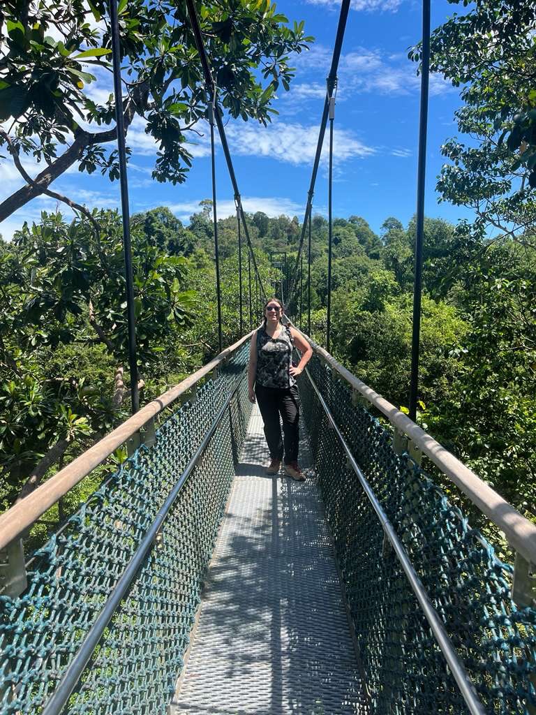 Day off vibes 🌴🌳 📍MacRitchie Nature Trail to Treetop Walk Loop. This was a beautiful 7.5 mile loop thru the trees with ample monkeys and monitor lizards hanging around. Fun to view from a distance and so cute to see the babies 😍
•
#dayoff #hiking #singaporenature #singaporetravel #musicianlife