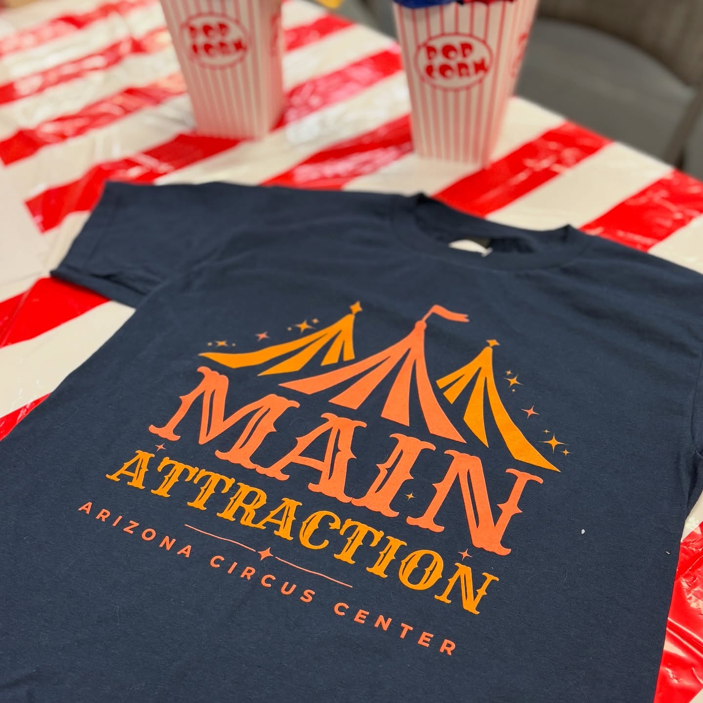 Camp shirts are in and we want your little ones to be the main attraction this summer 🎪 ✨ Learn more about our camps through the link in our bio.
#summercamps #circuscamps #acrobatsintraining #youthcircus summerfun