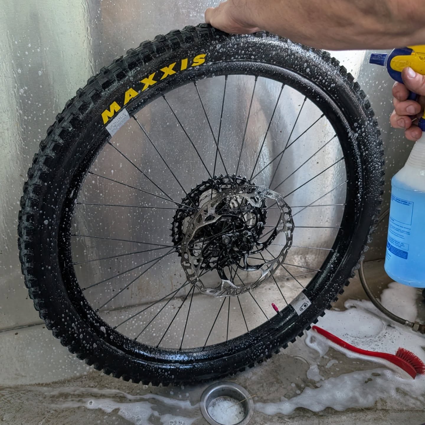 Our bike washer is up and running!!! What is your go-to cleaner???
Sometimes it's the simple, regular household products that come through for us --> Dawn and water! 💦 Gets the dirt off and does the job!
#cleanbike #bikewash #dawn #gravitypremiumservice