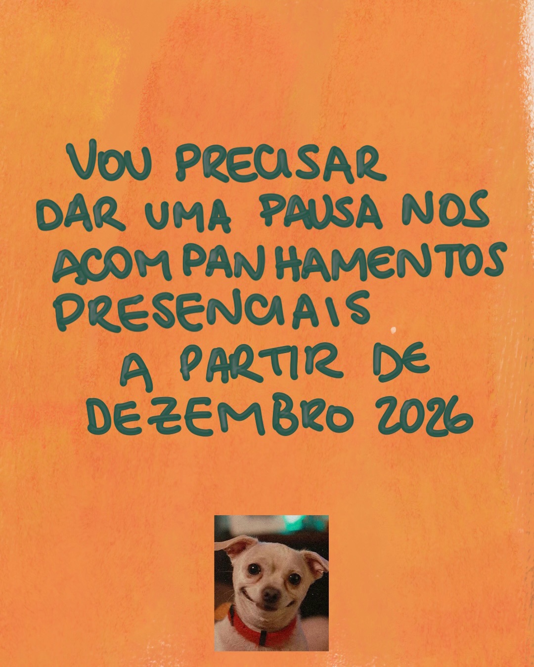Não, não foi planejado. Não, não temos TV em casa. Sim, vamos comprar uma TV. Sim, estamos felizes….
Só sei que esse serzin ja tem os melhores irmãos e o melhor papai.
Os acompanhamentos presenciais seguem até novembro.
E ainda vão ter três grupos de acompanhamento on-line:
Julho,
Setembro e
Novembro!
E claro, muita informação por aqui também.
😊😊
